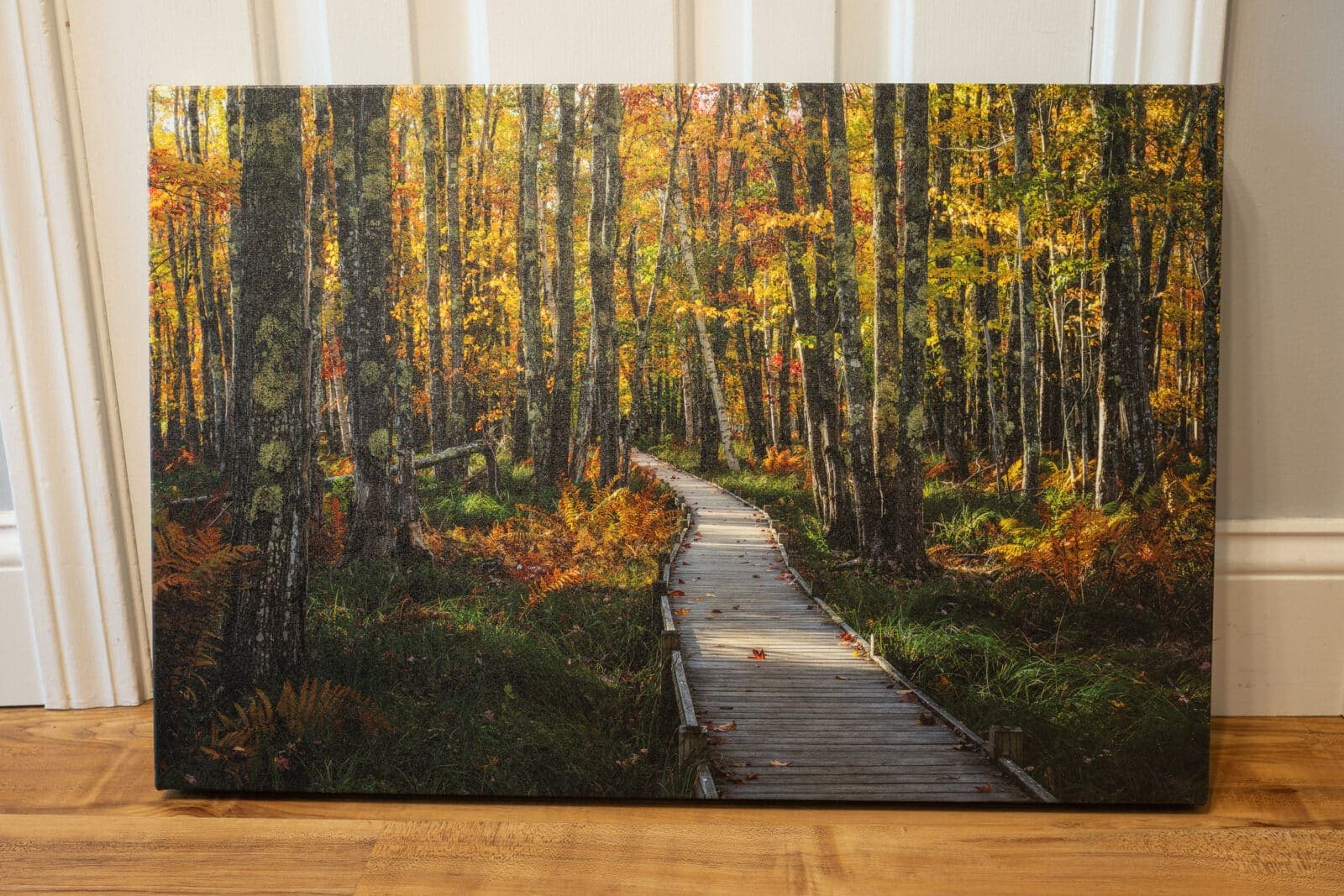 Want to Know the Best Print Type for Your Photo? Here's My Take