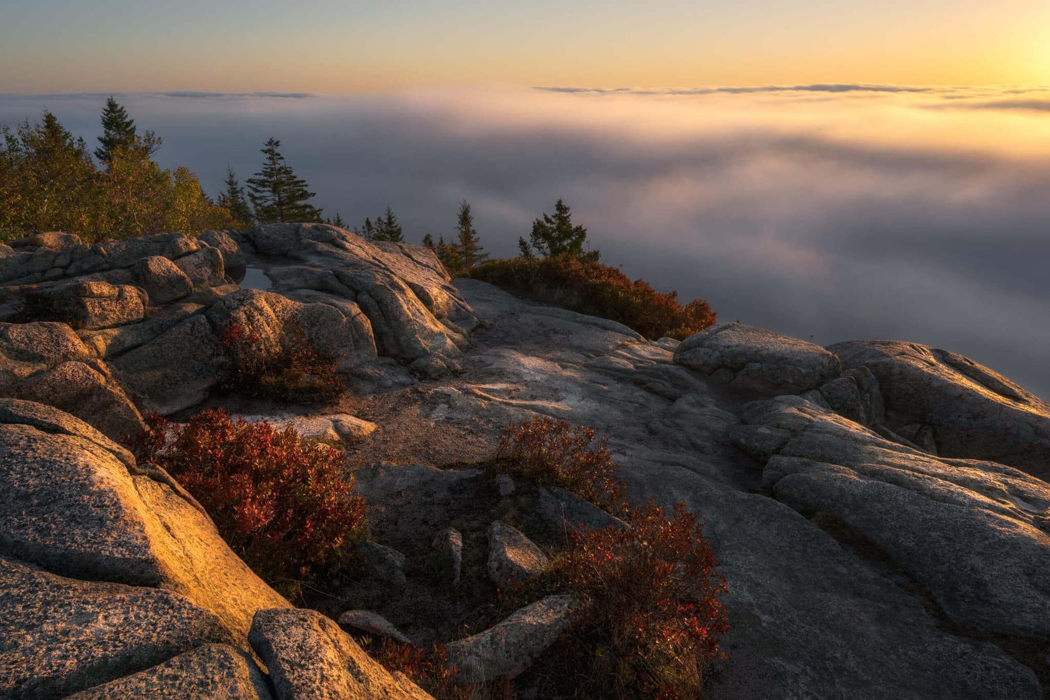 Above the Fog landscape photography print