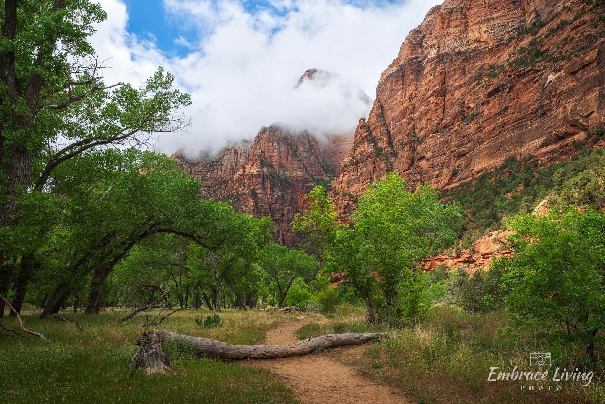 An Unpredictable Instance landscape photography print