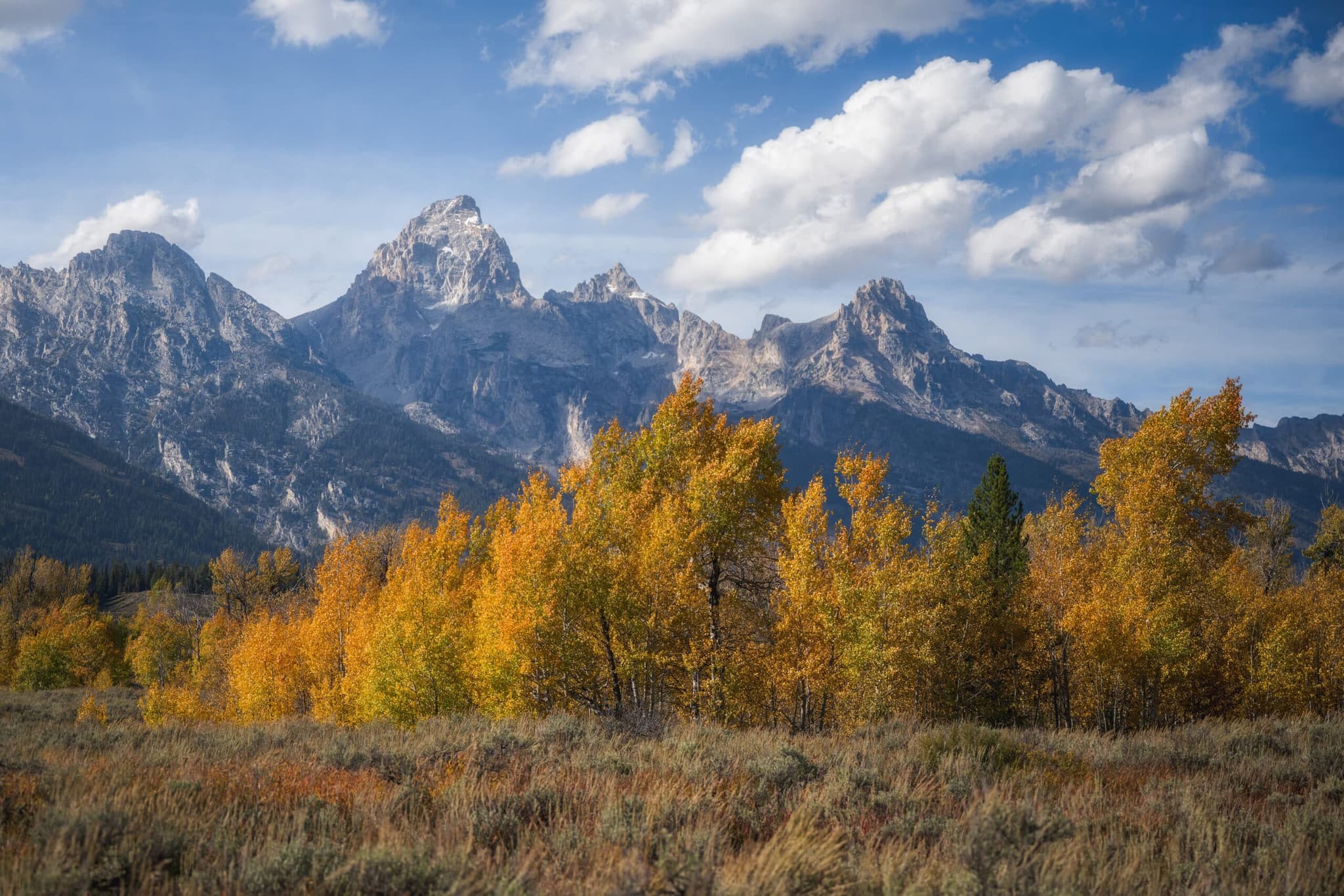 Fall in the Tetons landscape photography print