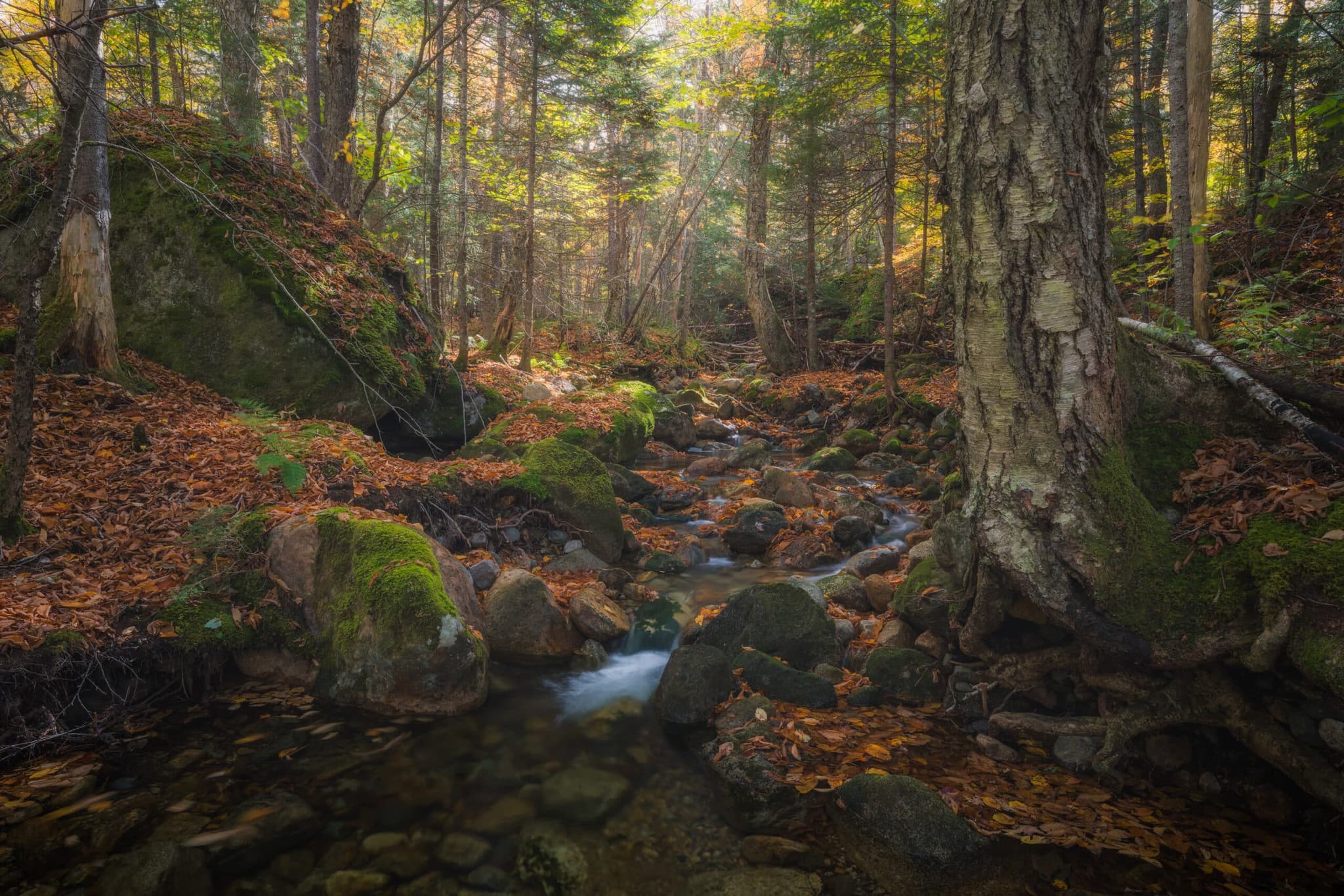Innominate landscape photography print