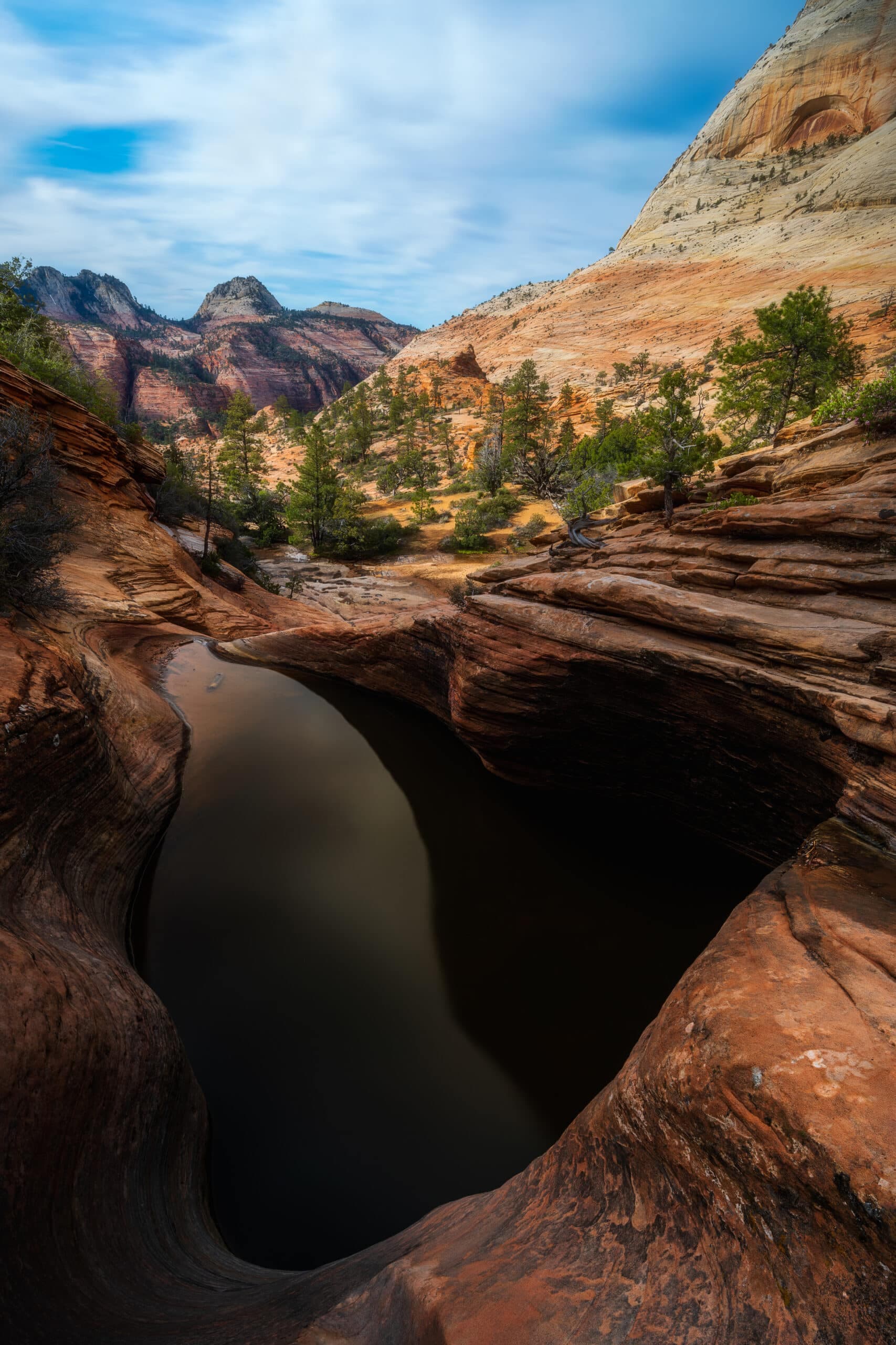 One of Many landscape photography print