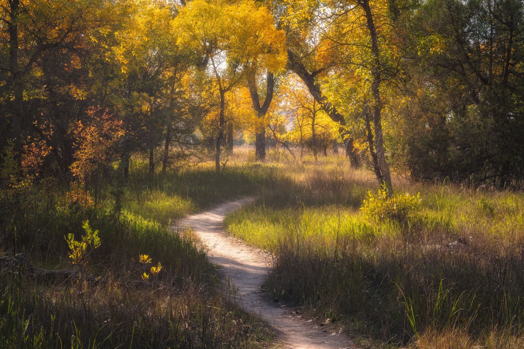 Solivagant landscape photography print