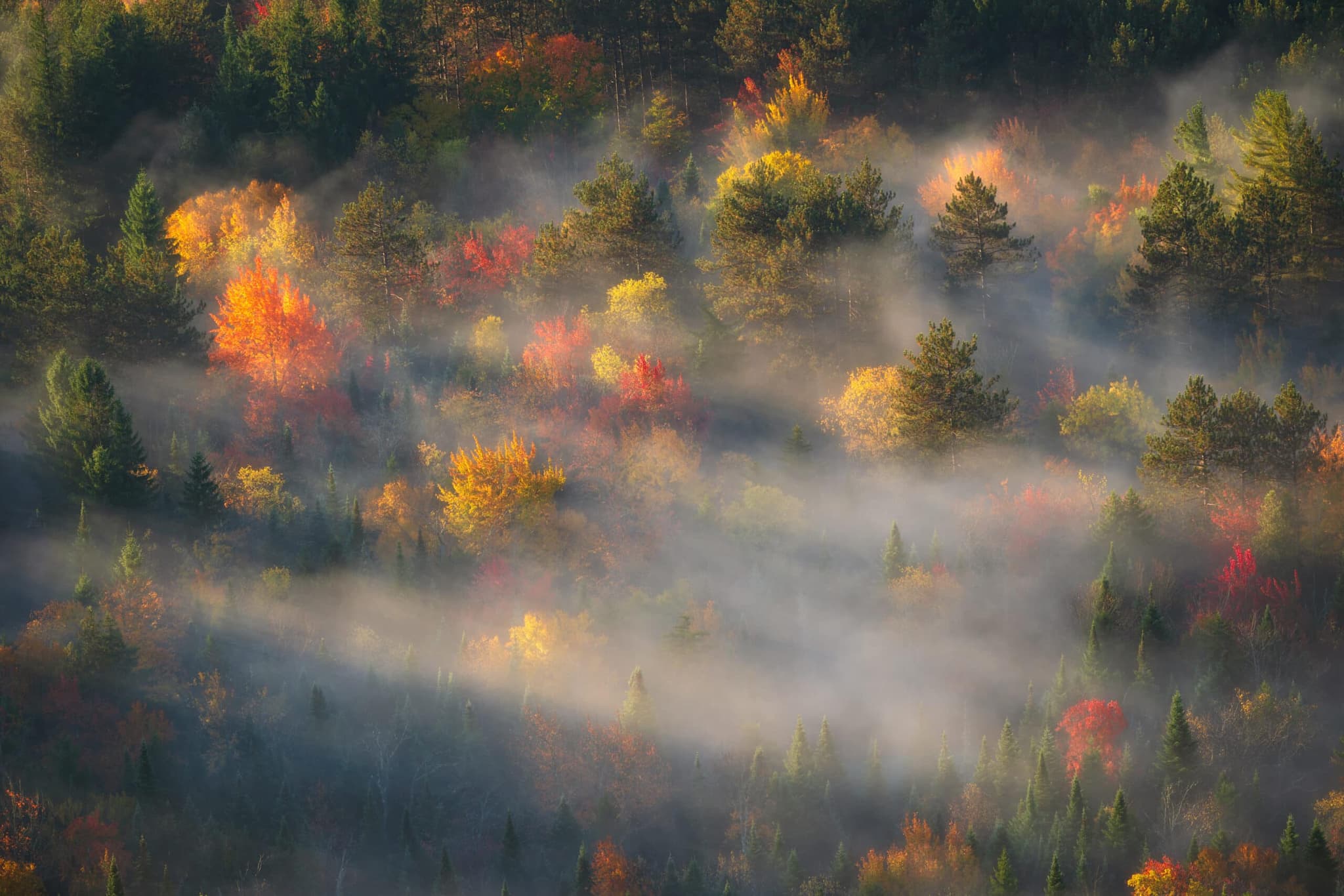 Through the Mist landscape photography print