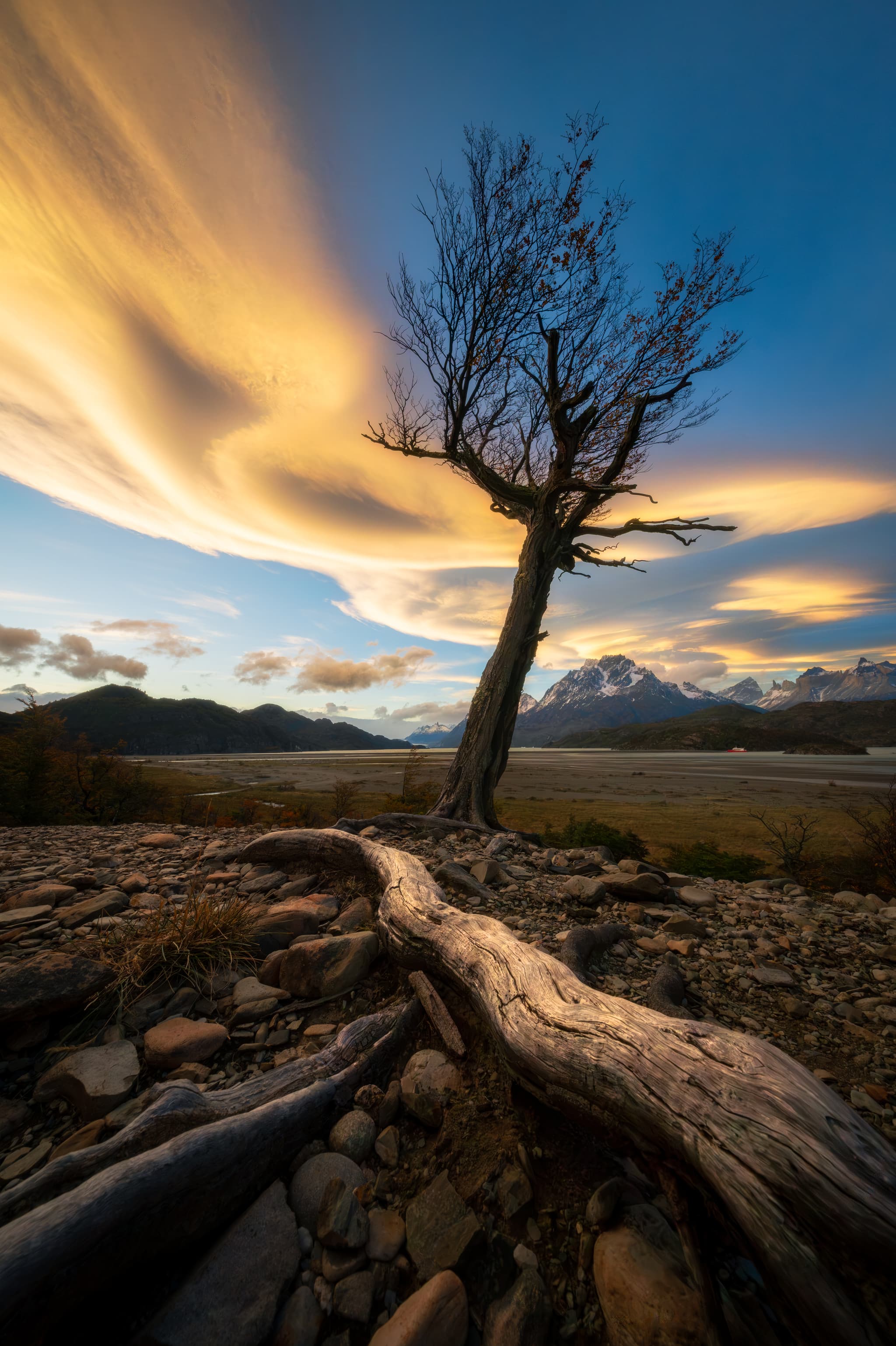 A Windswept Evening landscape photography print