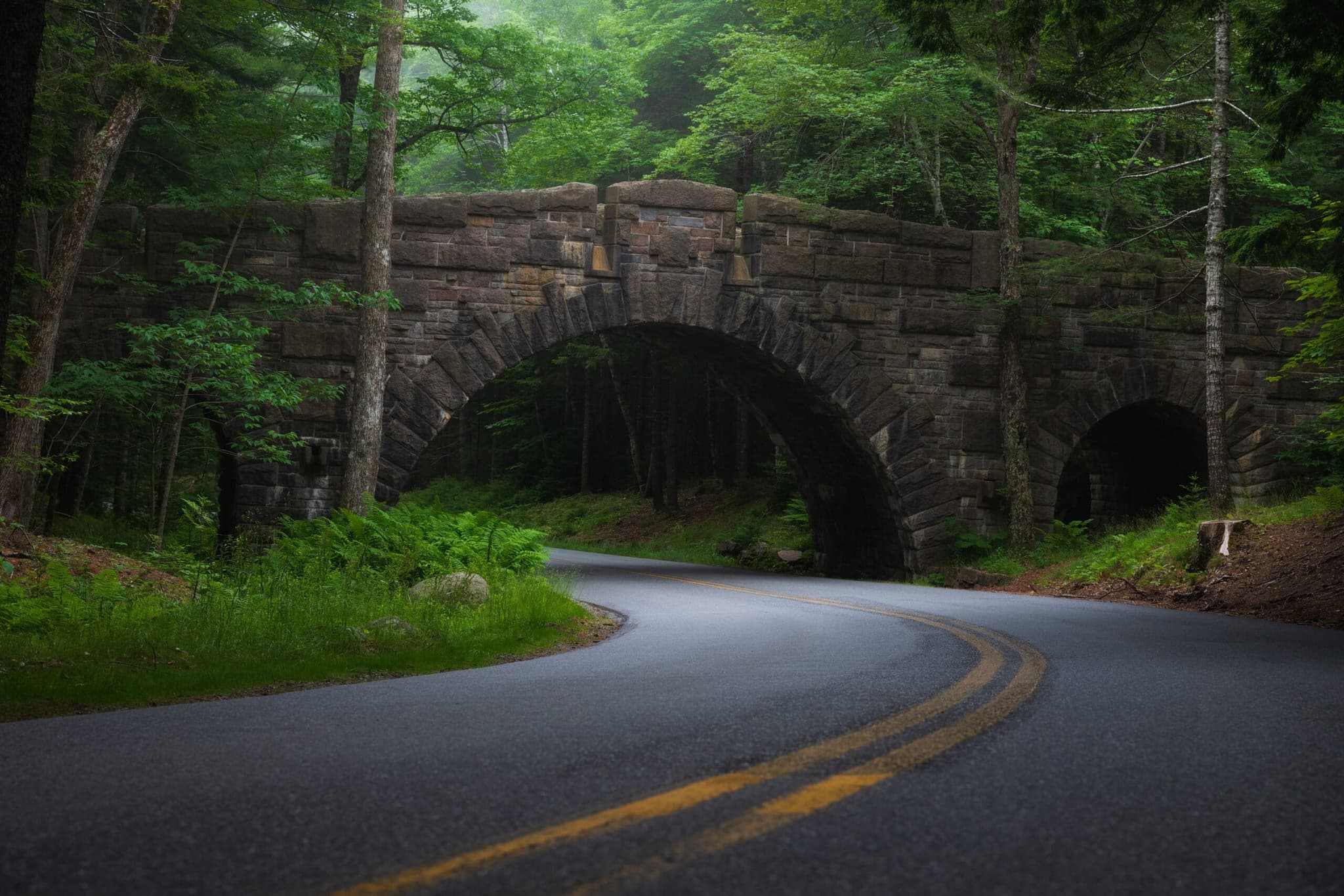 Acadia Awakens landscape photography print