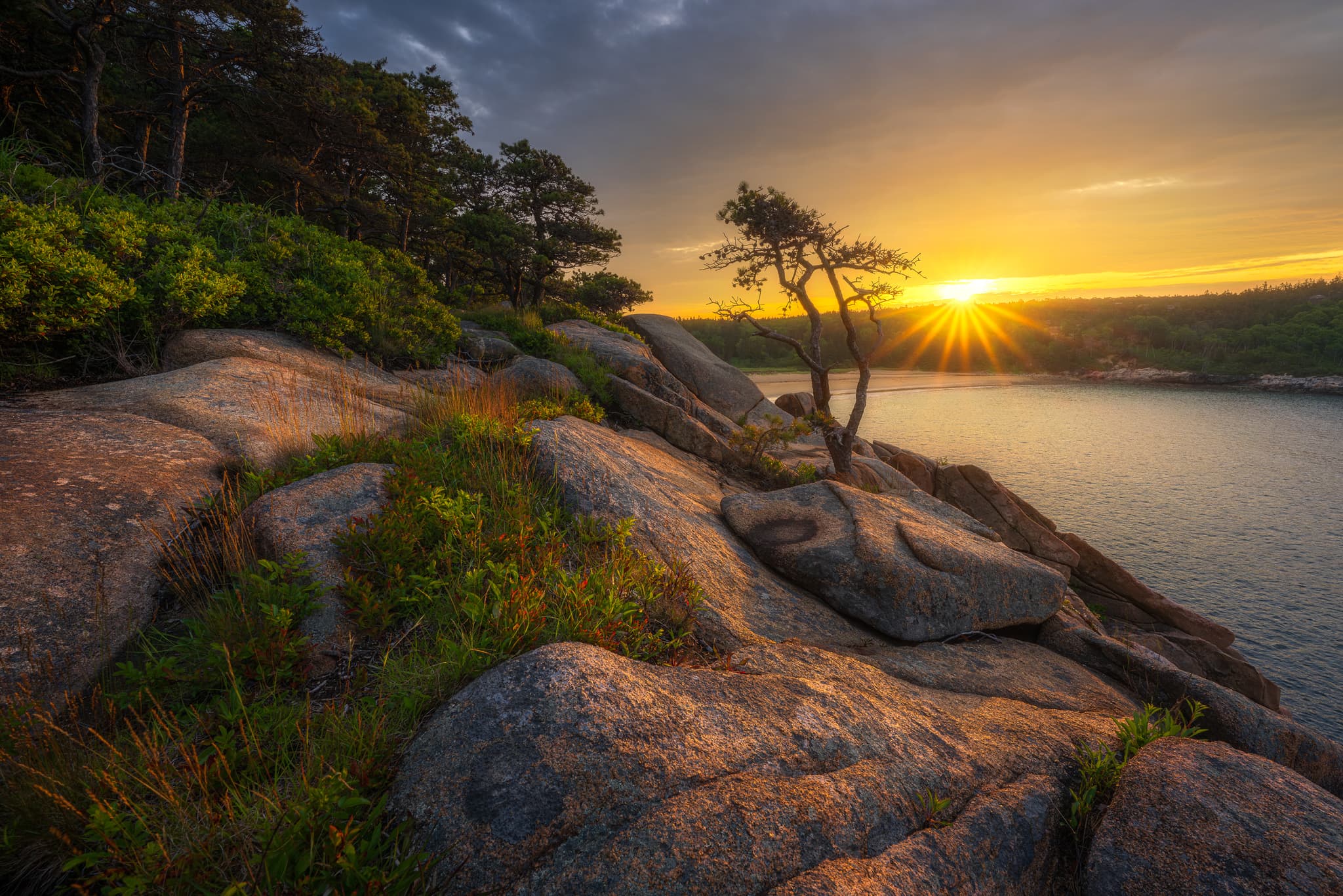 Beach Flare landscape photography print