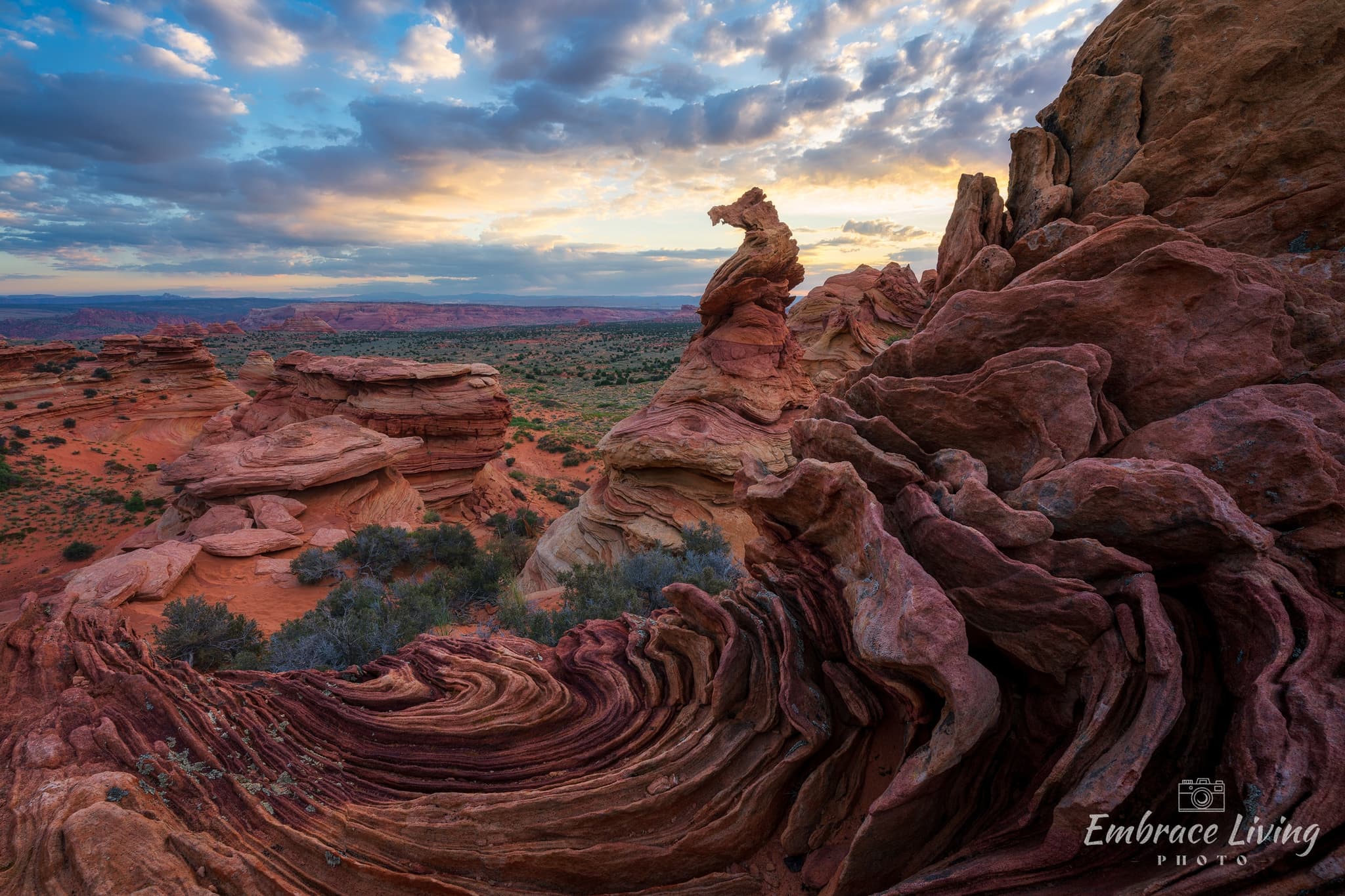 Desert Fins landscape photography print