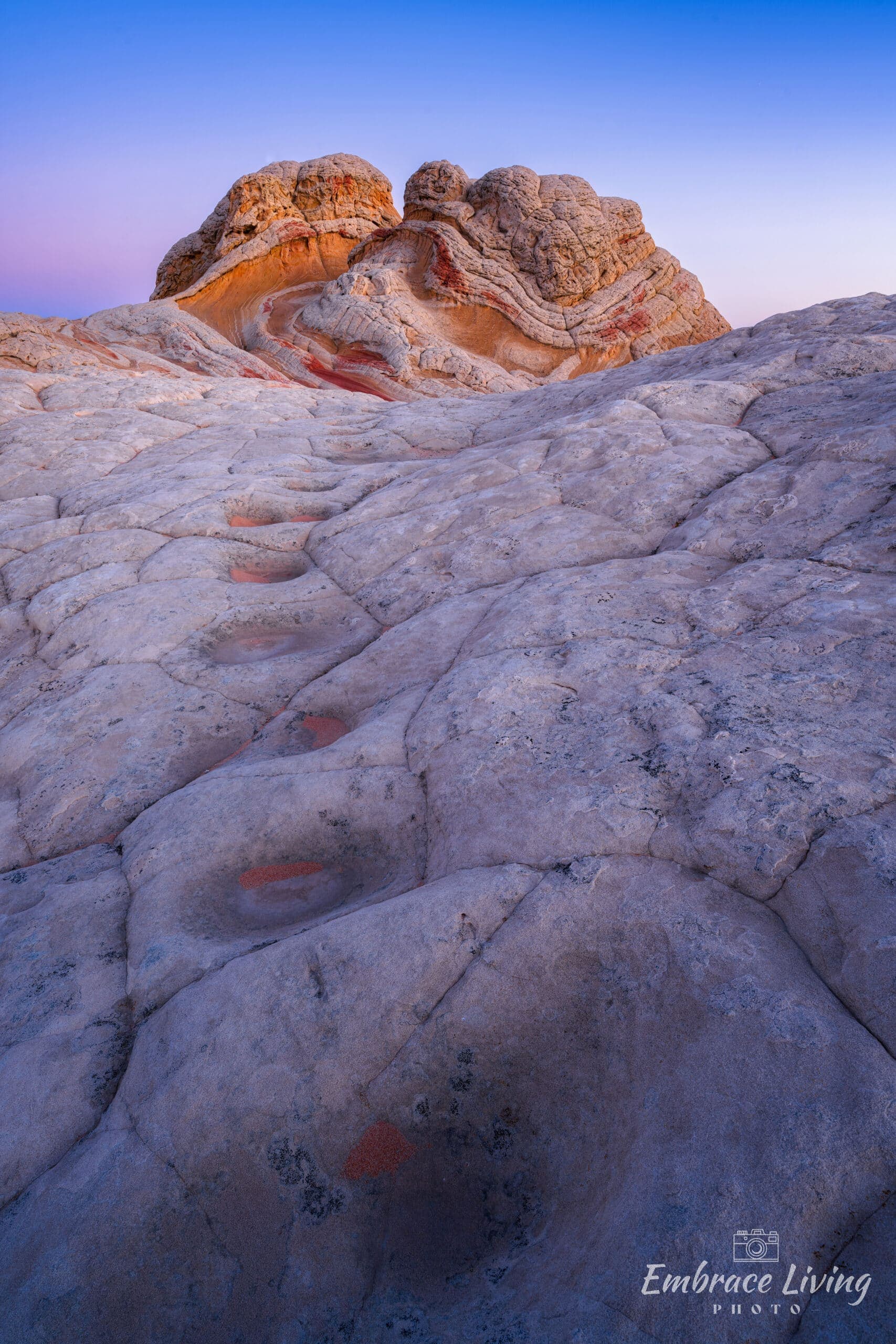 Dinosaur Steps landscape photography print
