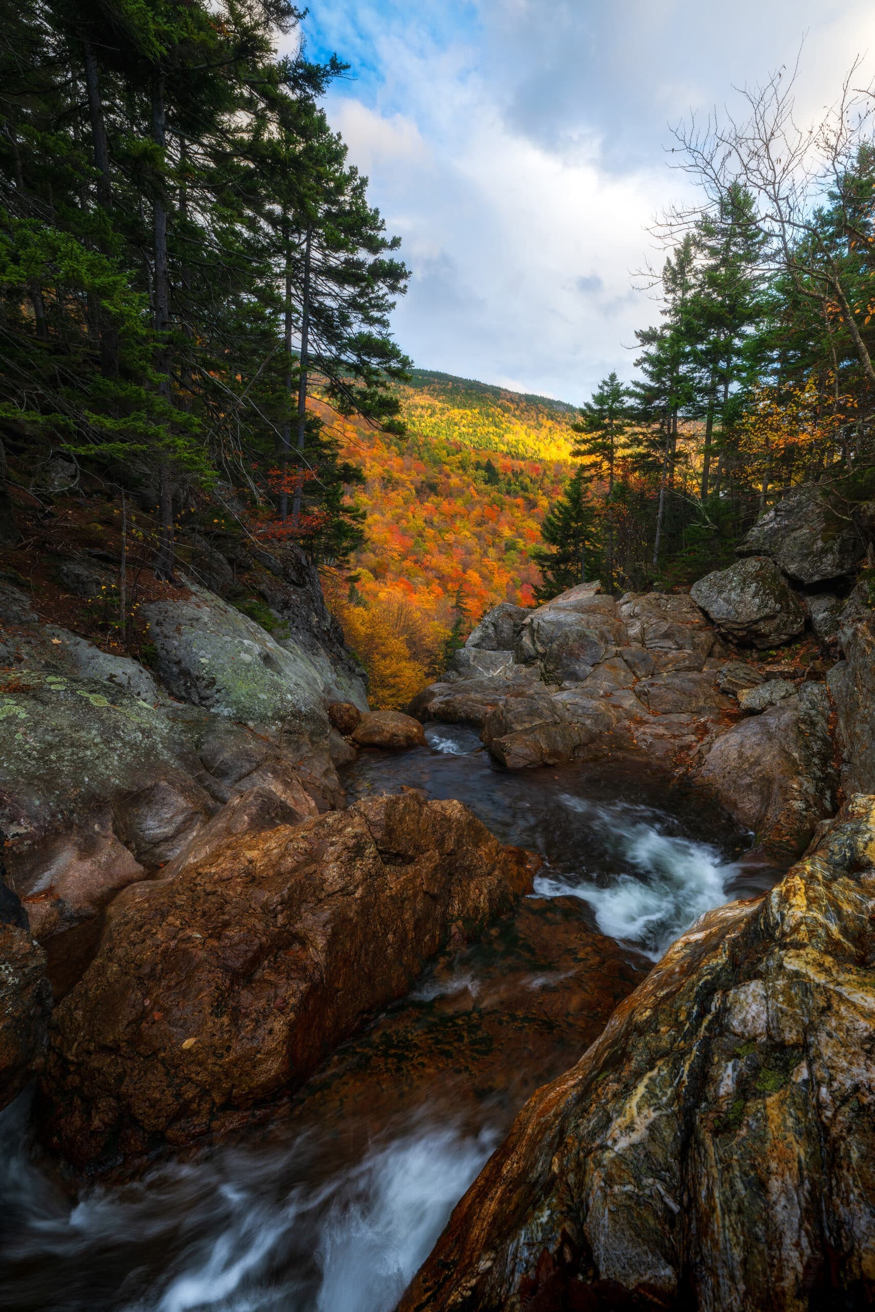 Flow into Fall landscape photography print