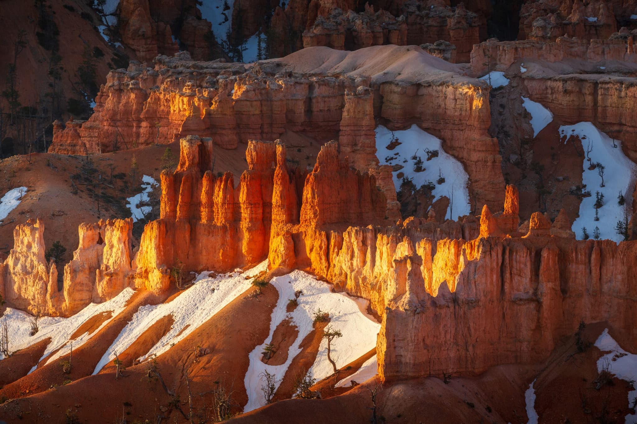 Holding On landscape photography print