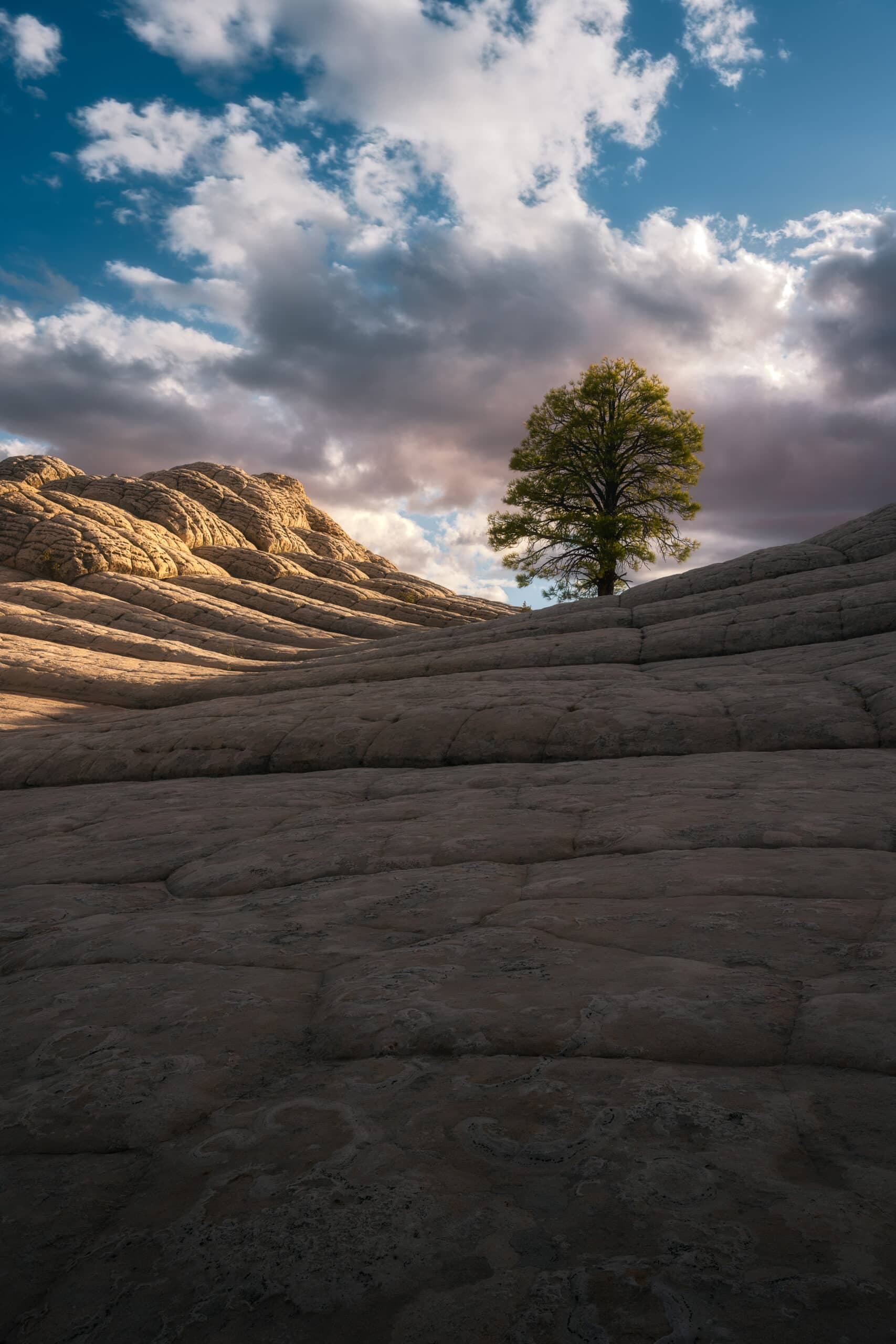 Lonely landscape photography print