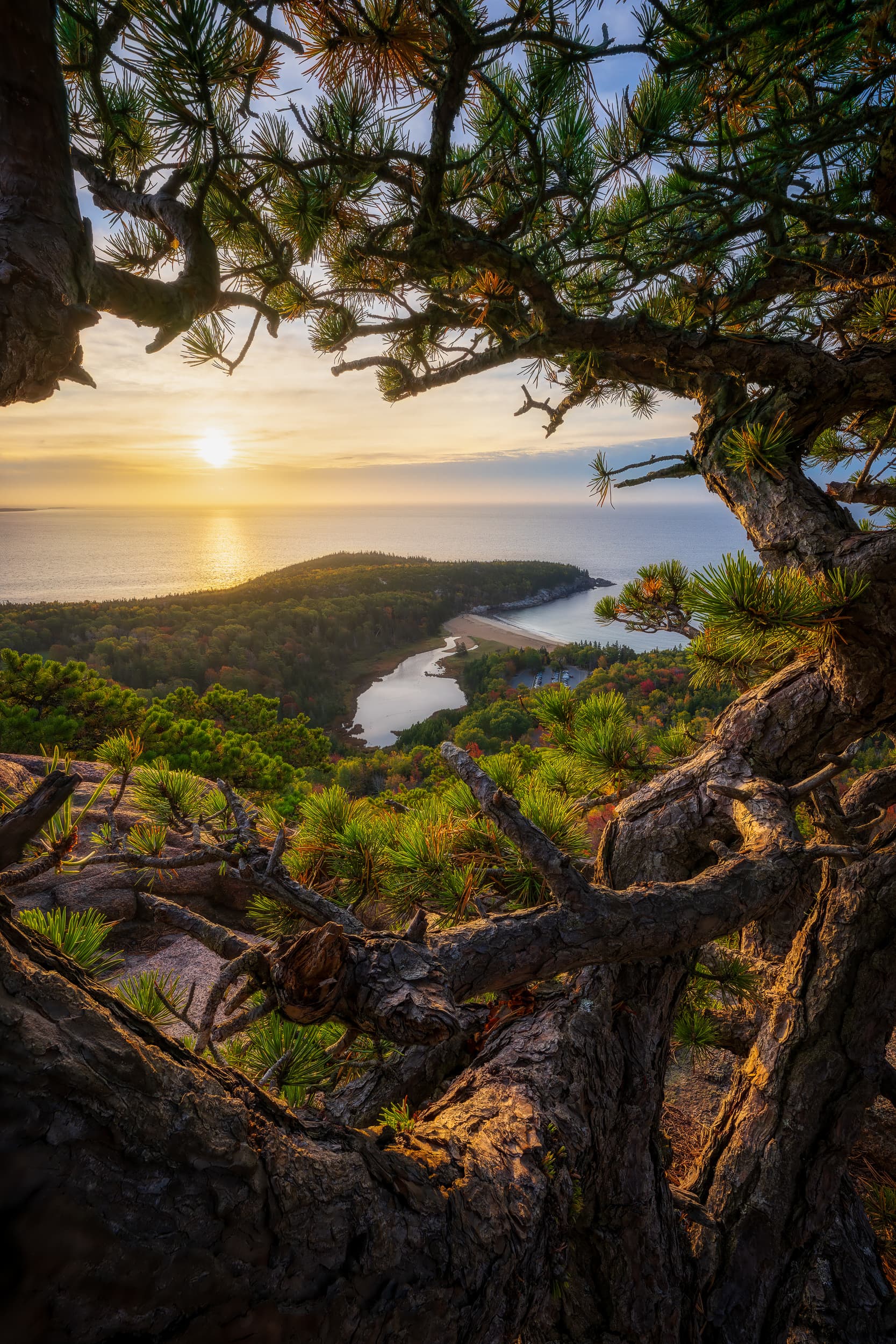 From Within landscape photography print