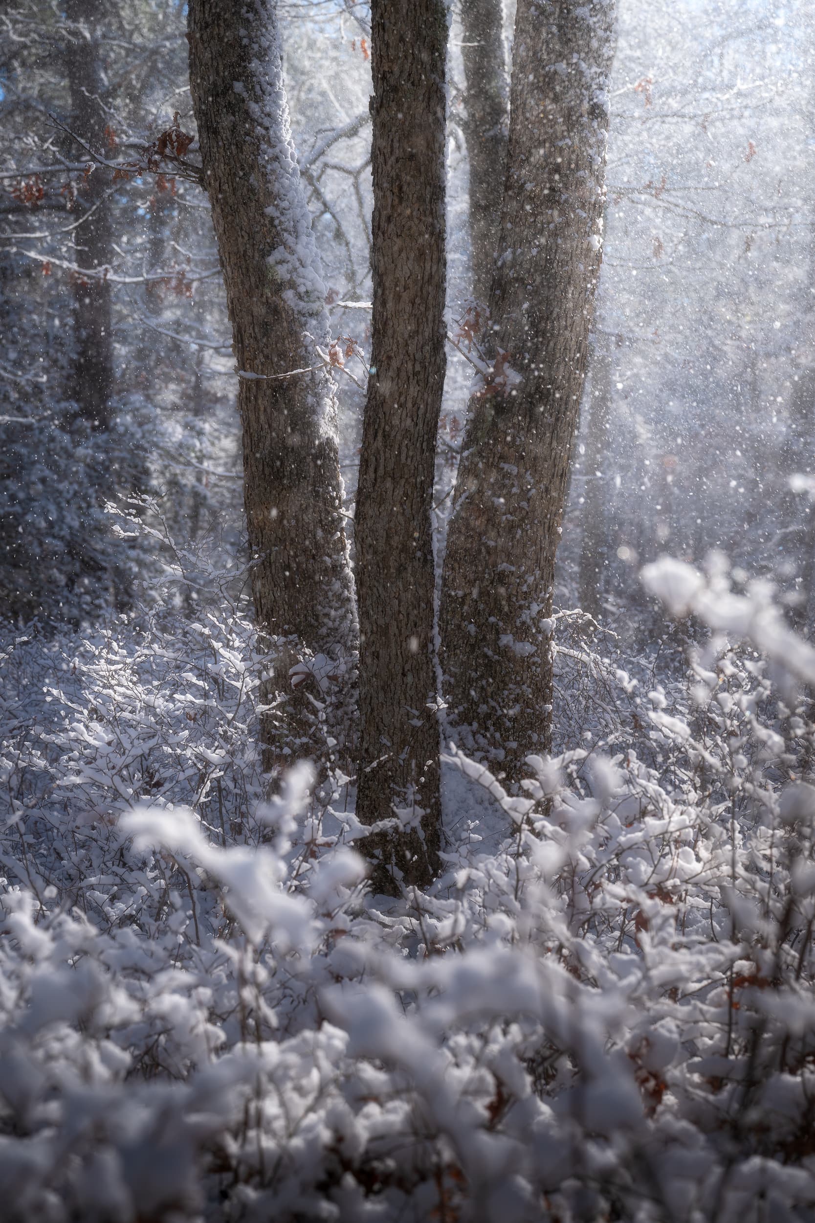 Glimmer landscape photography print