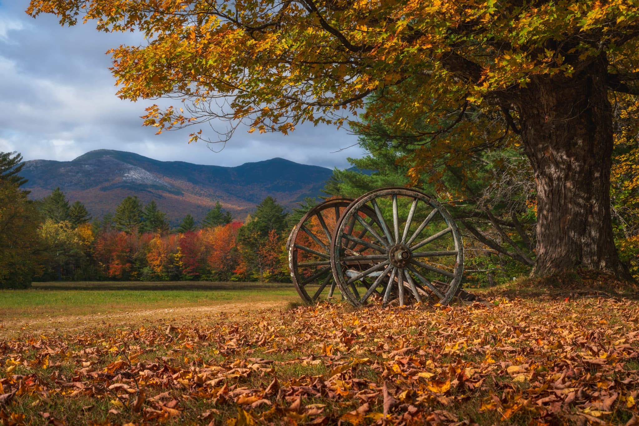 Serendipity landscape photography print