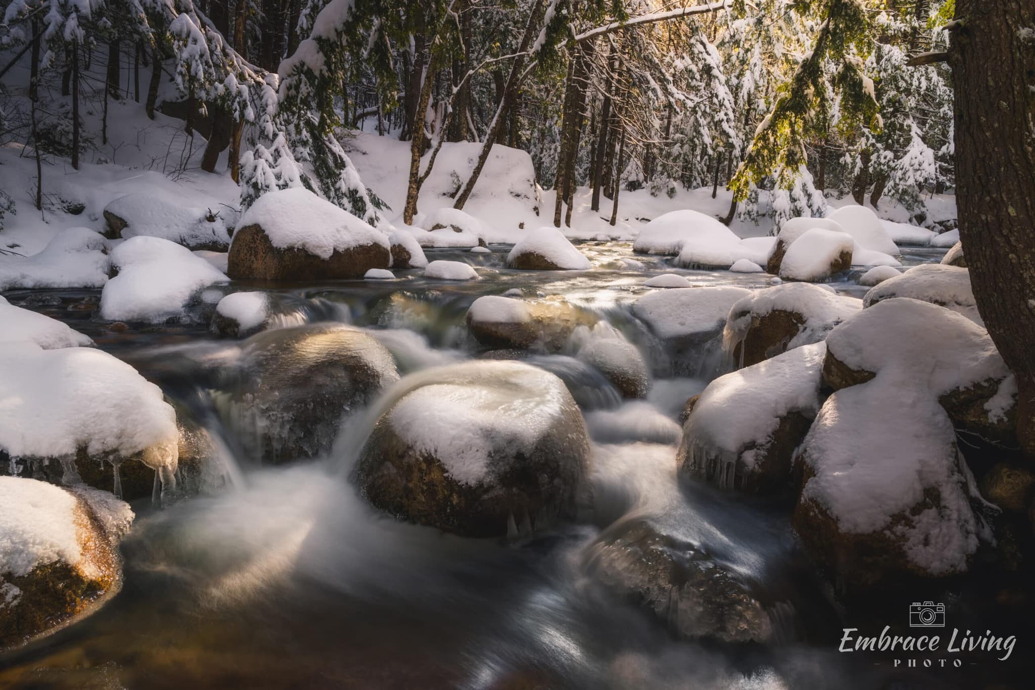Sirenize landscape photography print
