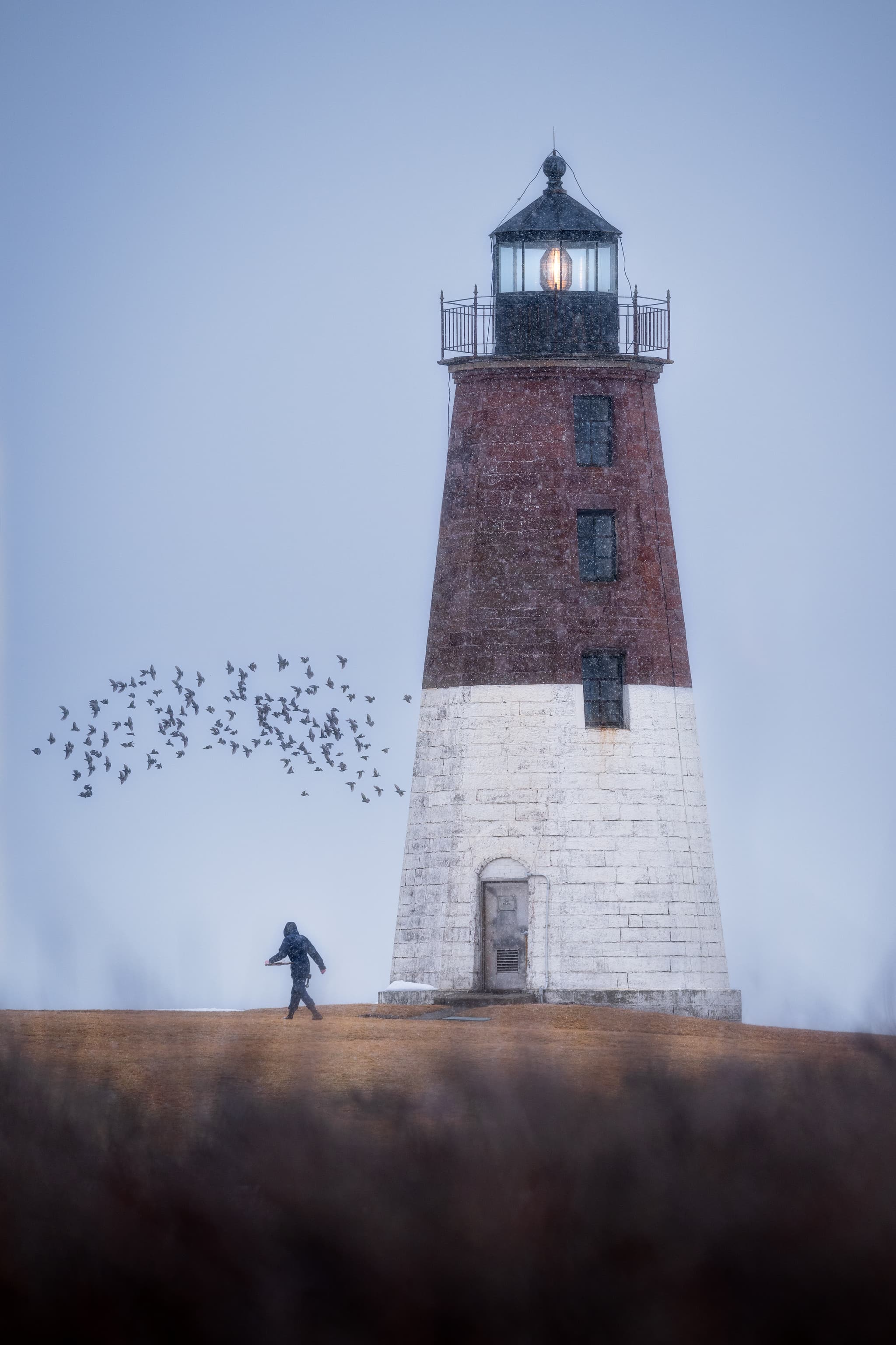 Startled Starlings landscape photography print