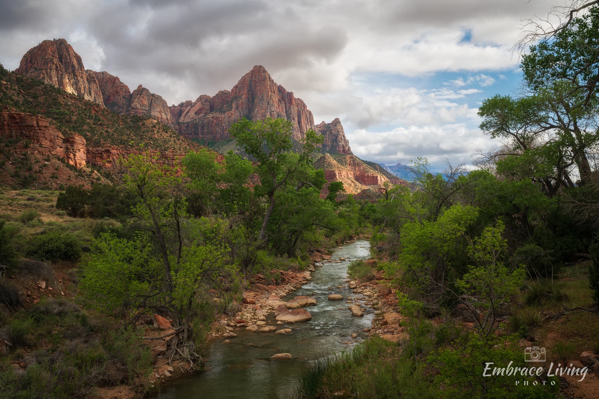 Towering Over landscape photography print