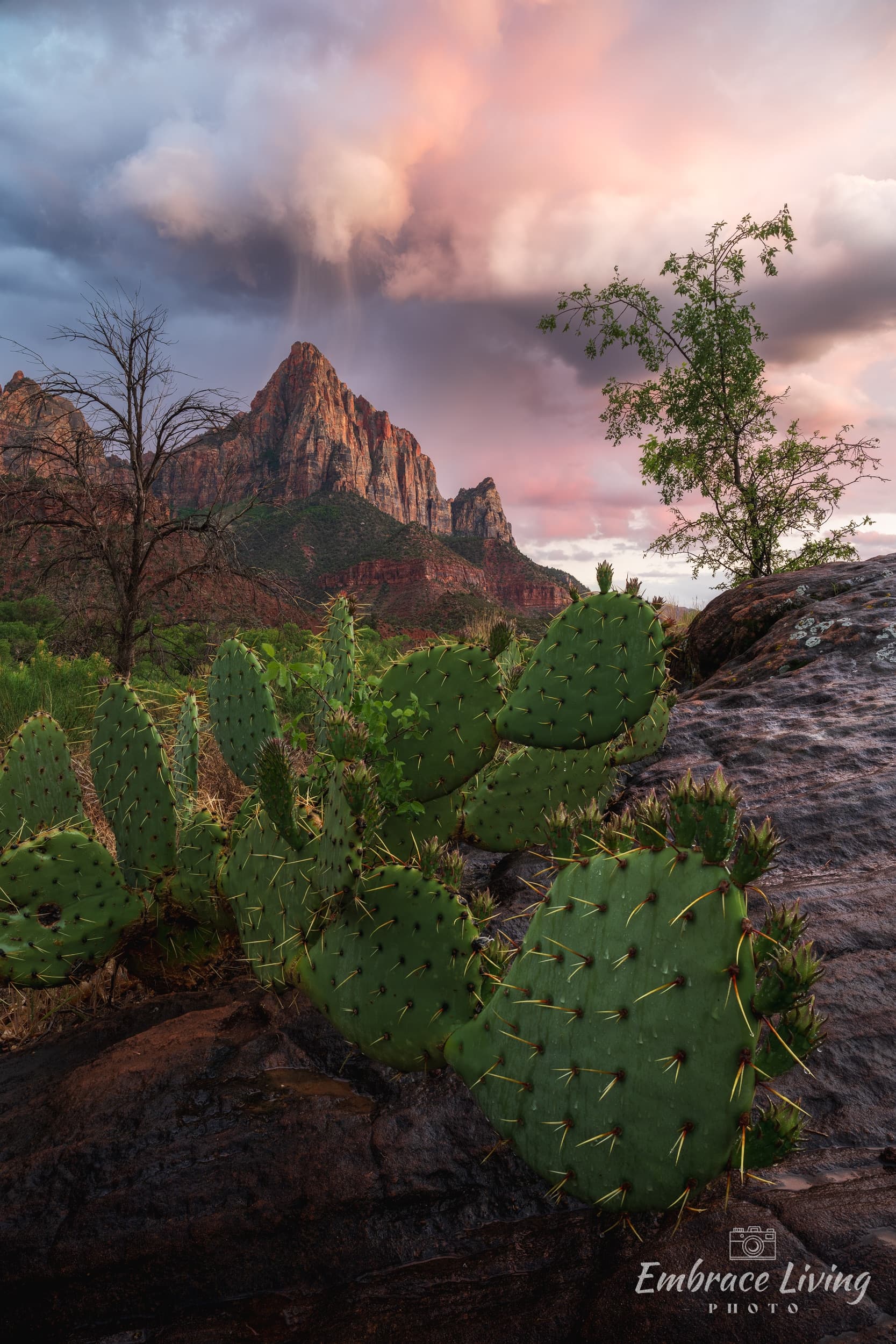 Ureshii landscape photography print