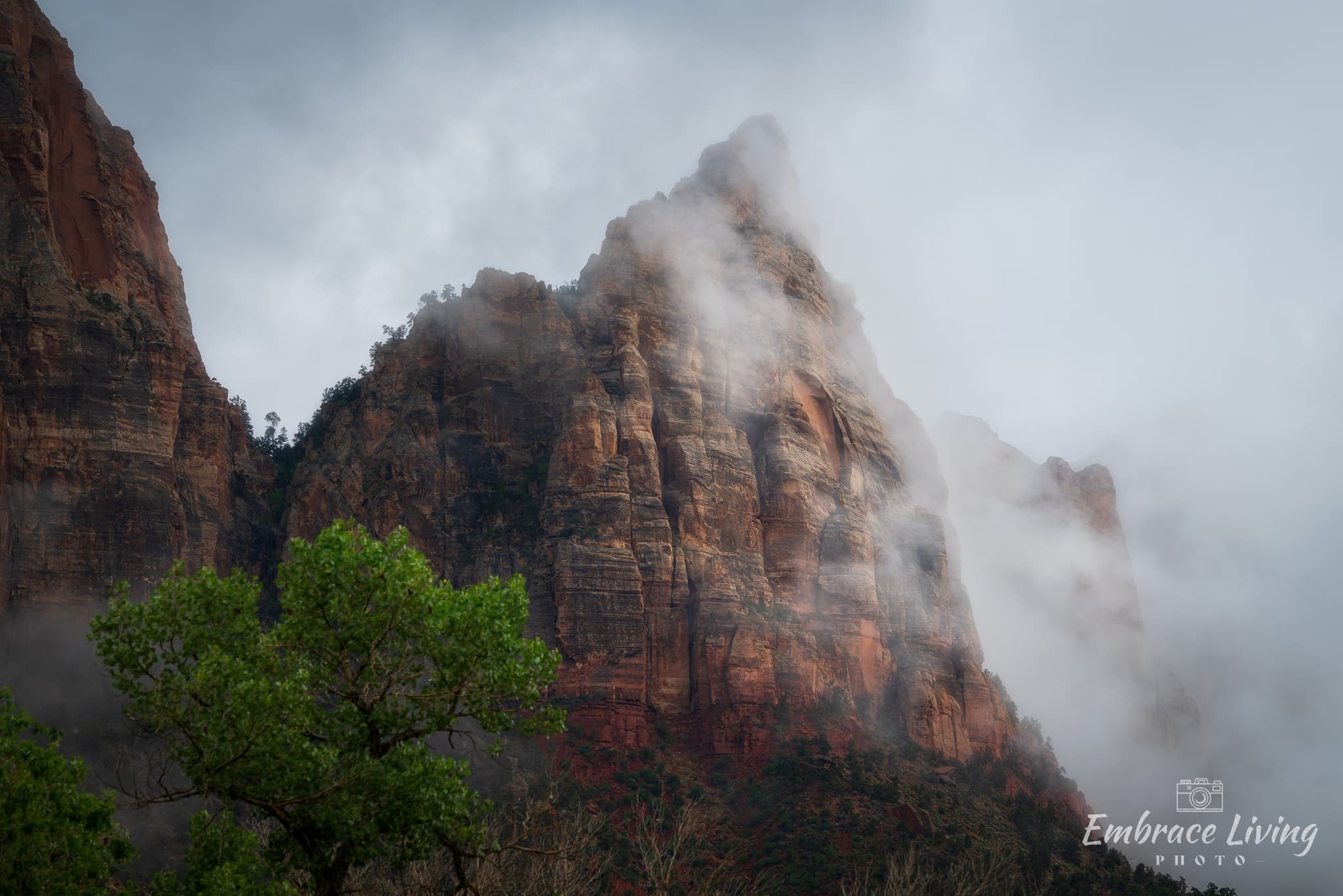 Veiled landscape photography print
