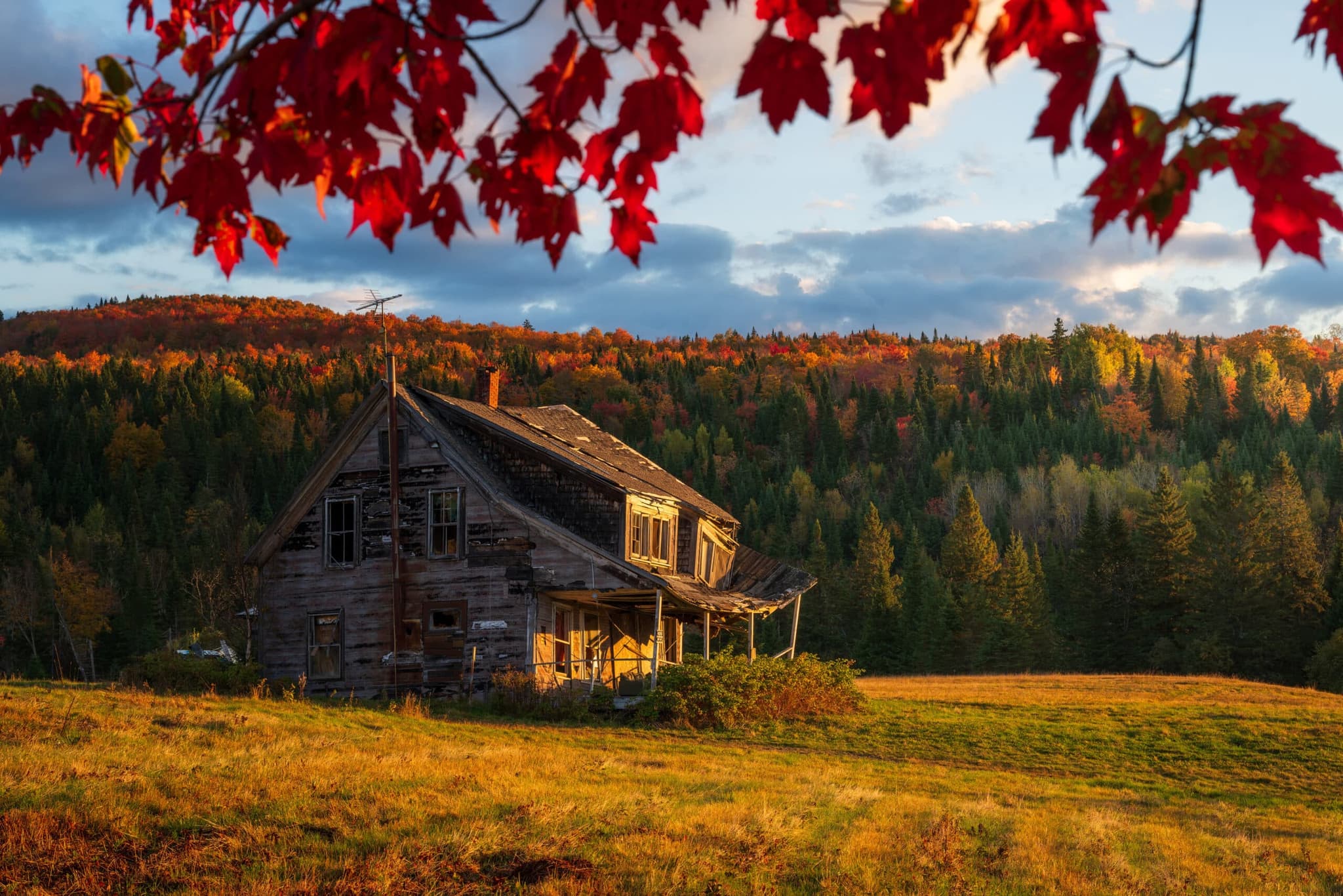Wabisabi landscape photography print