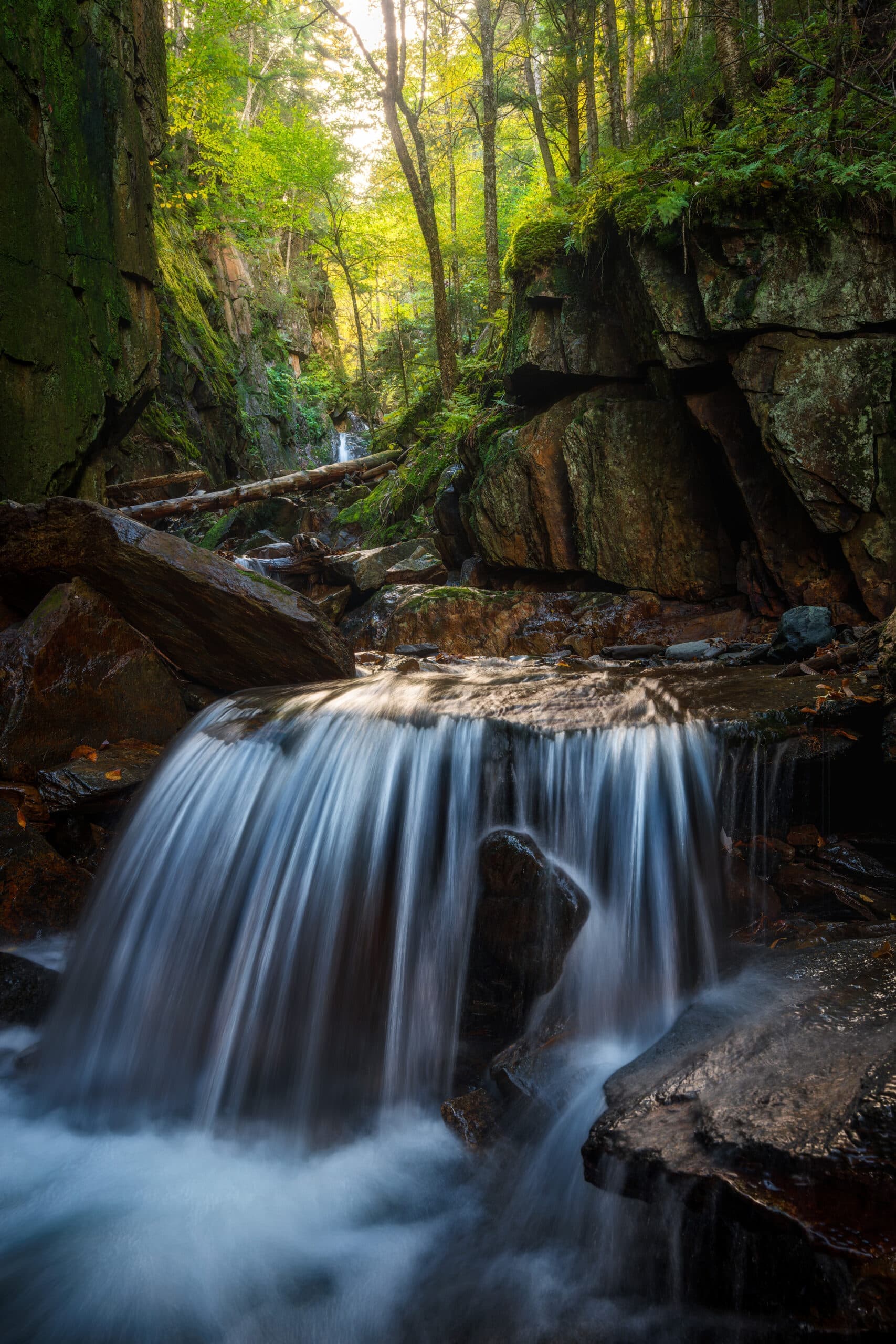 Werifesteria landscape photography print
