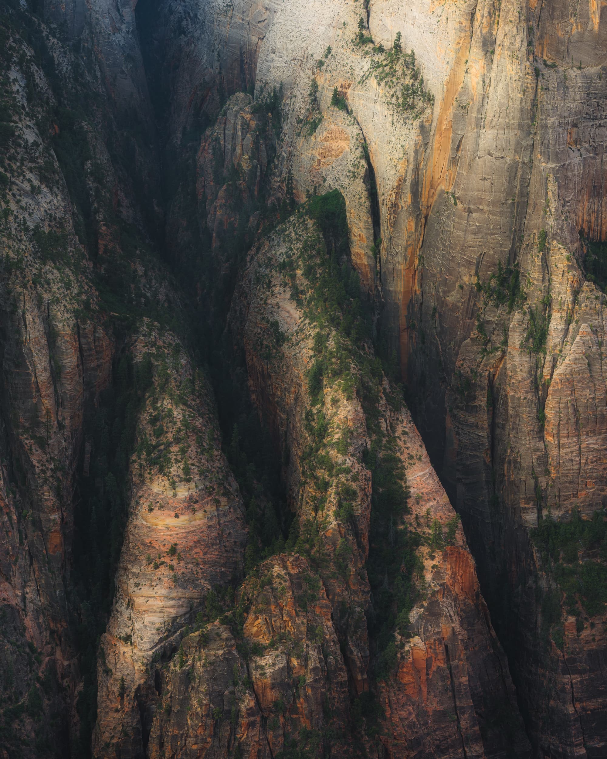 Zion Abstract landscape photography print