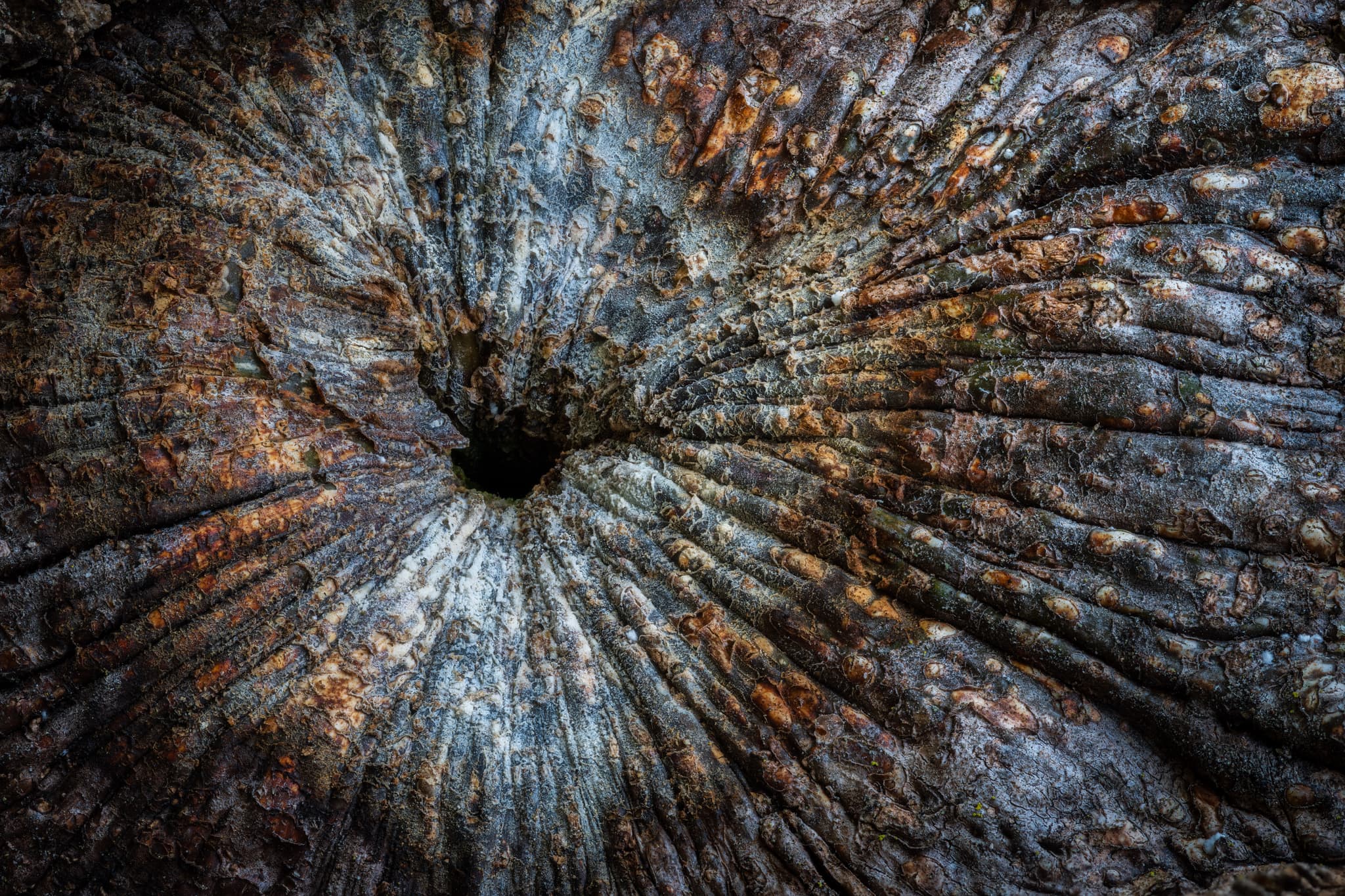 Radial landscape photography print
