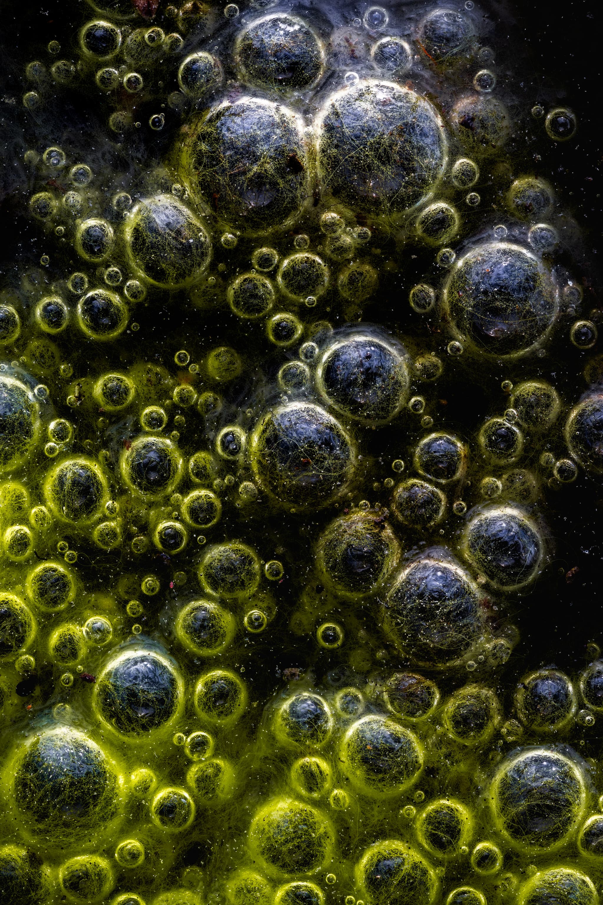 Emergence landscape photography print