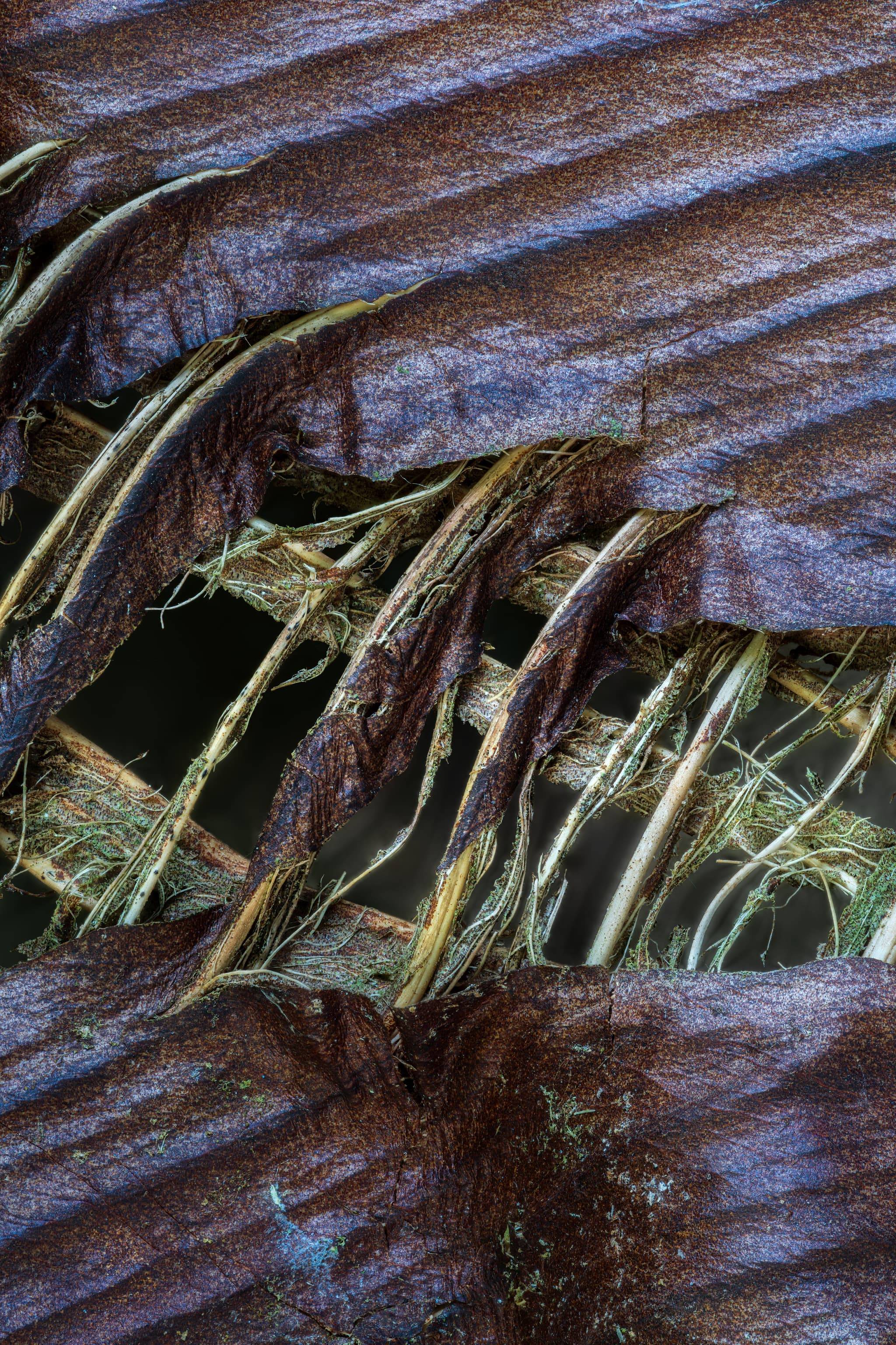 Torn landscape photography print