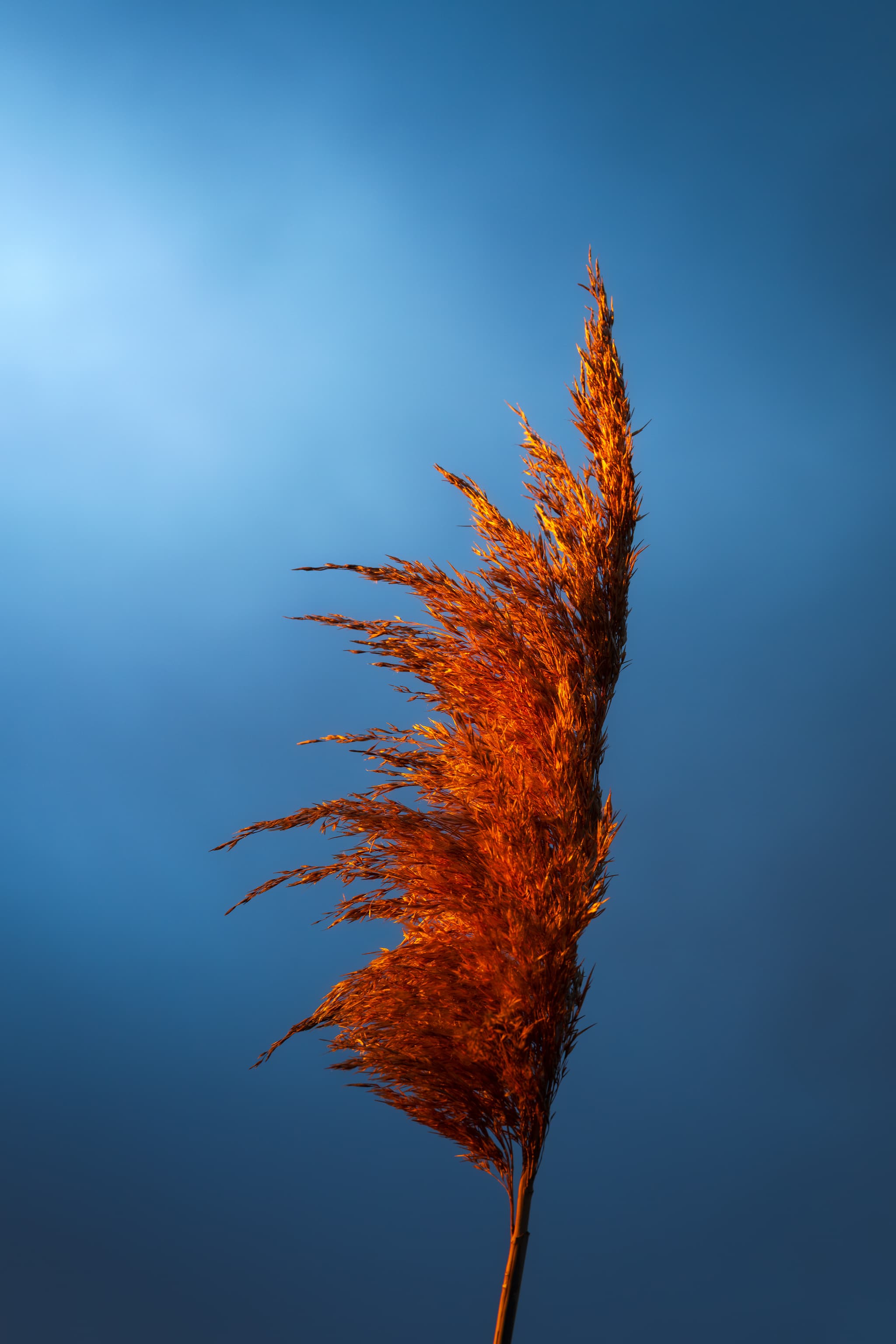 Standing Alone landscape photography print