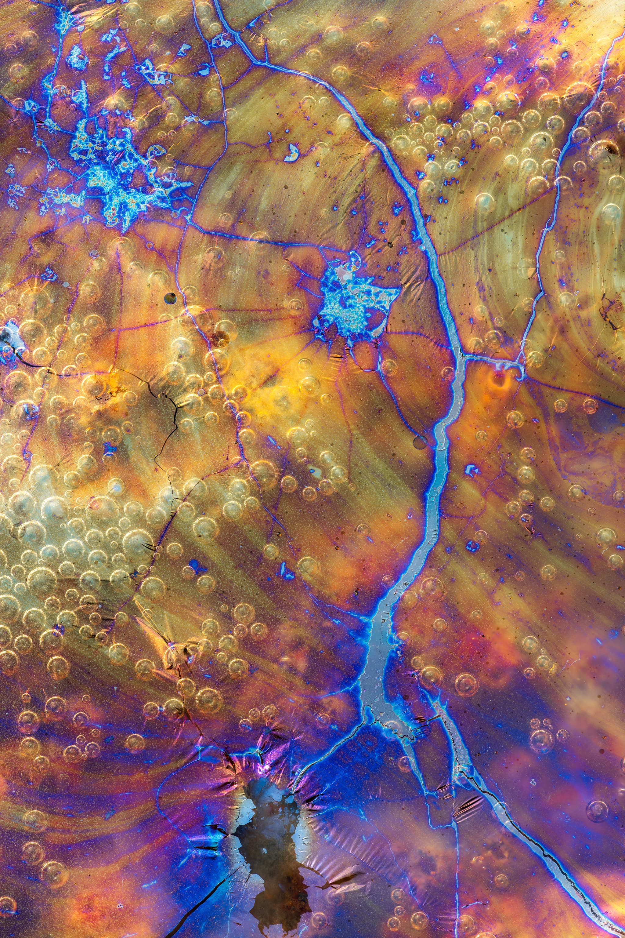 Delta landscape photography print