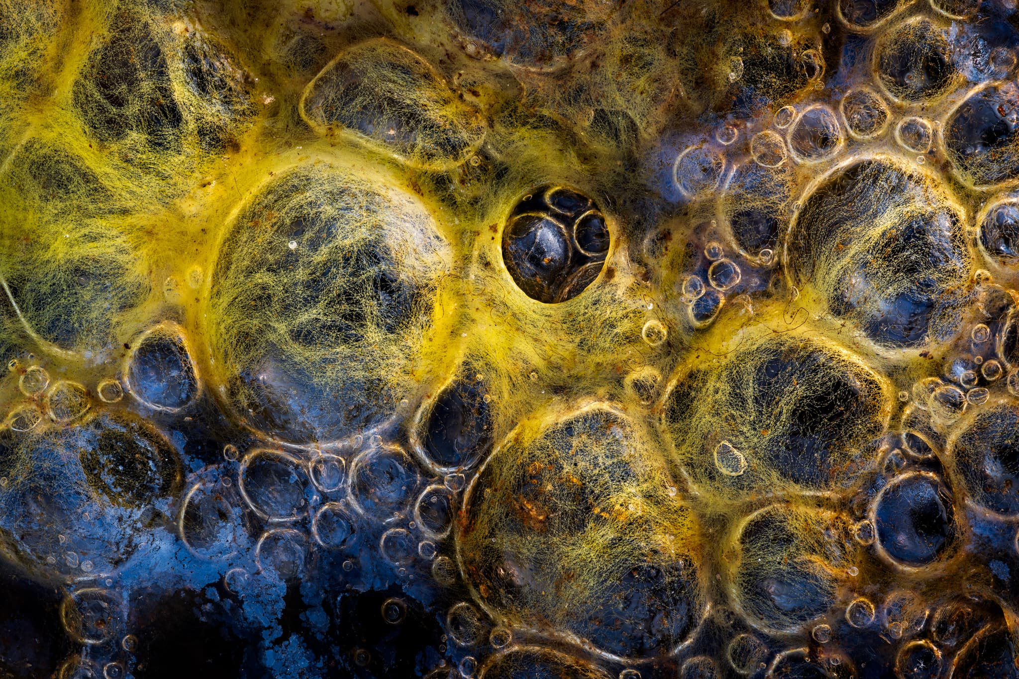 What Lies Beneath landscape photography print