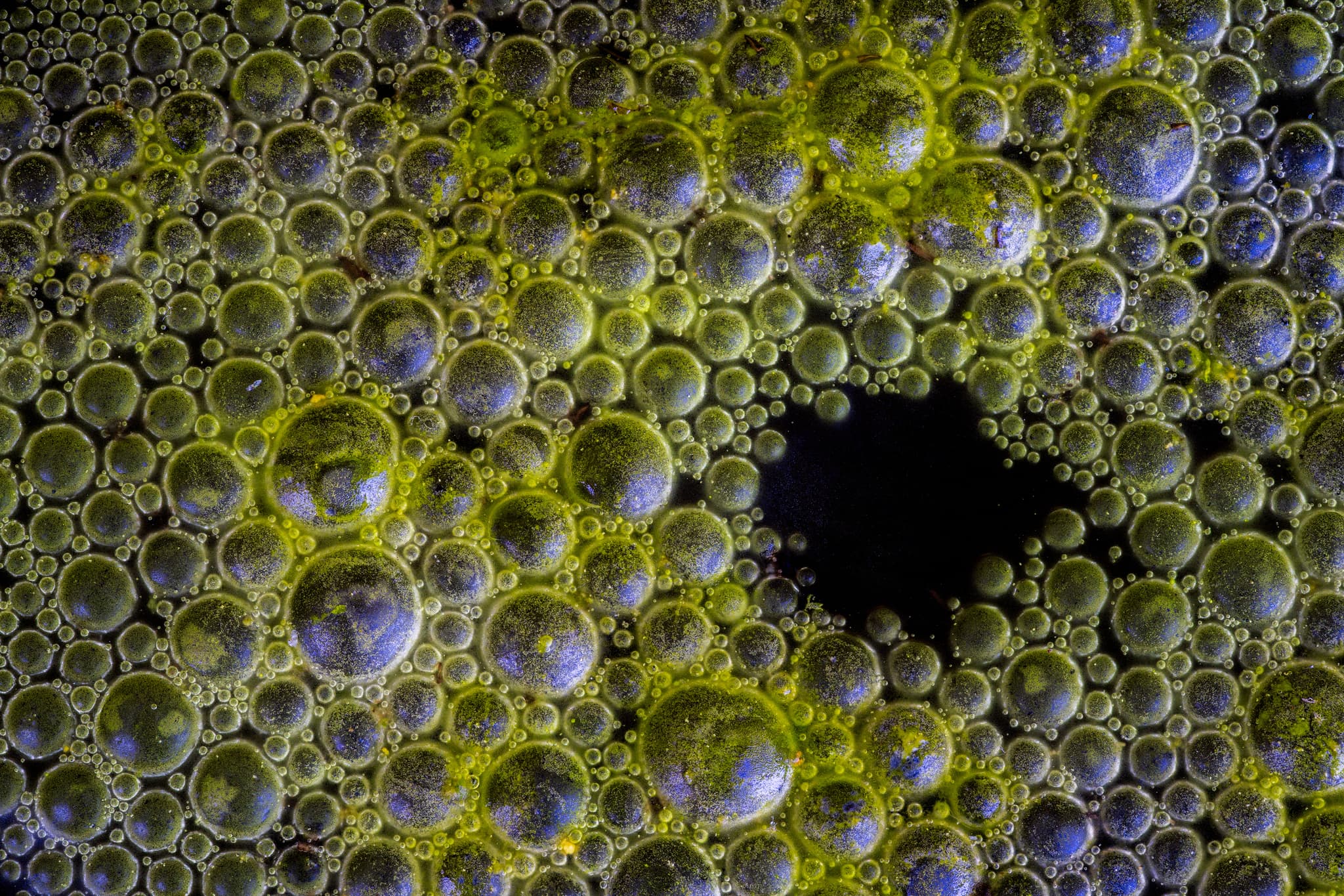 The Void landscape photography print