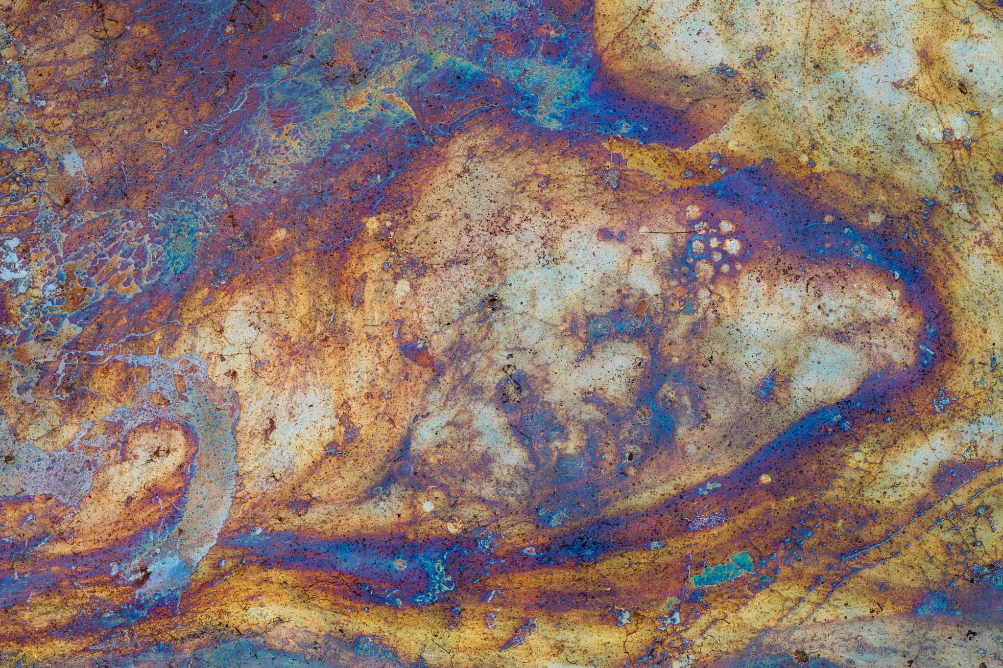 Swirl landscape photography print