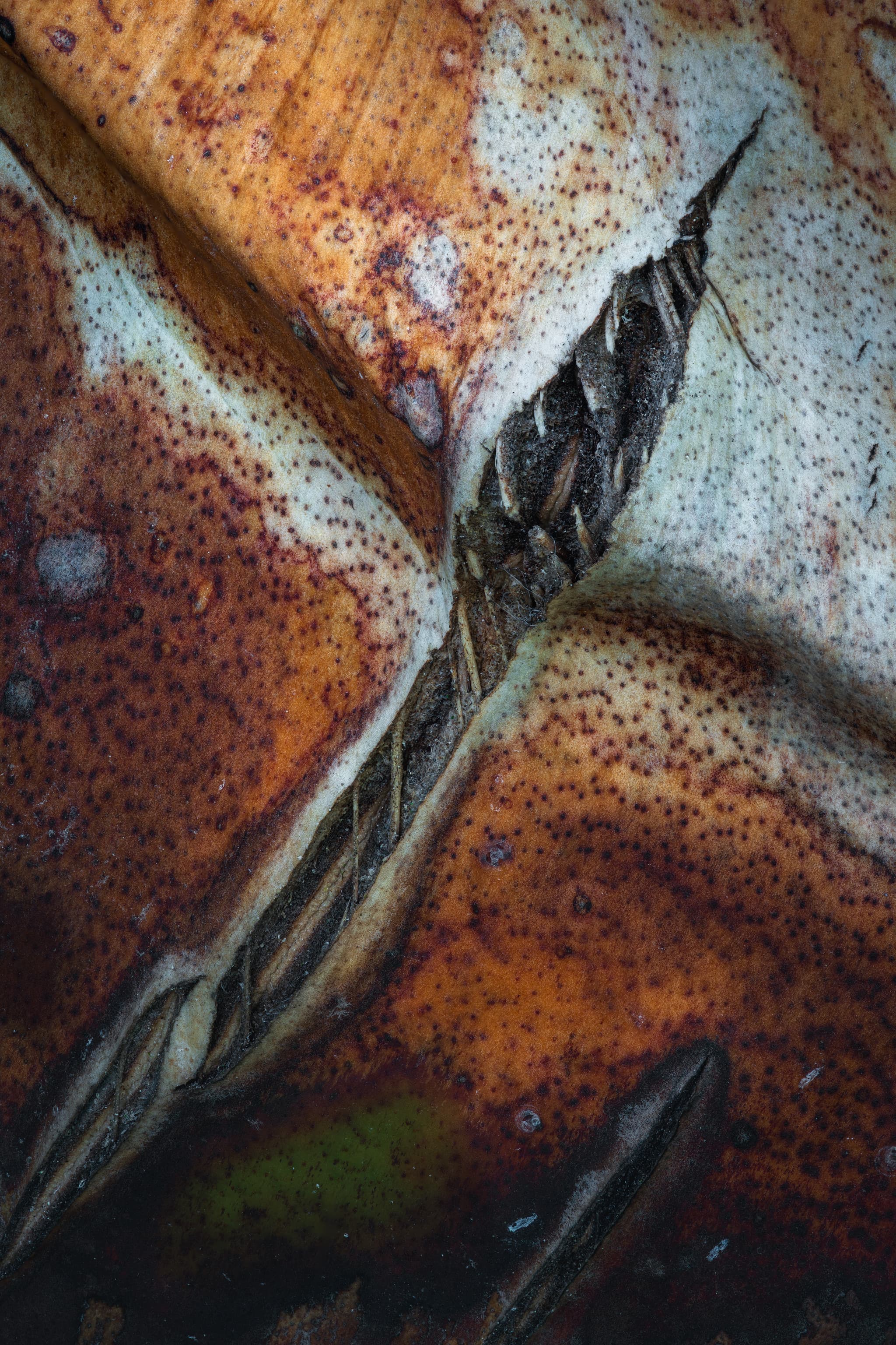 Rupture landscape photography print