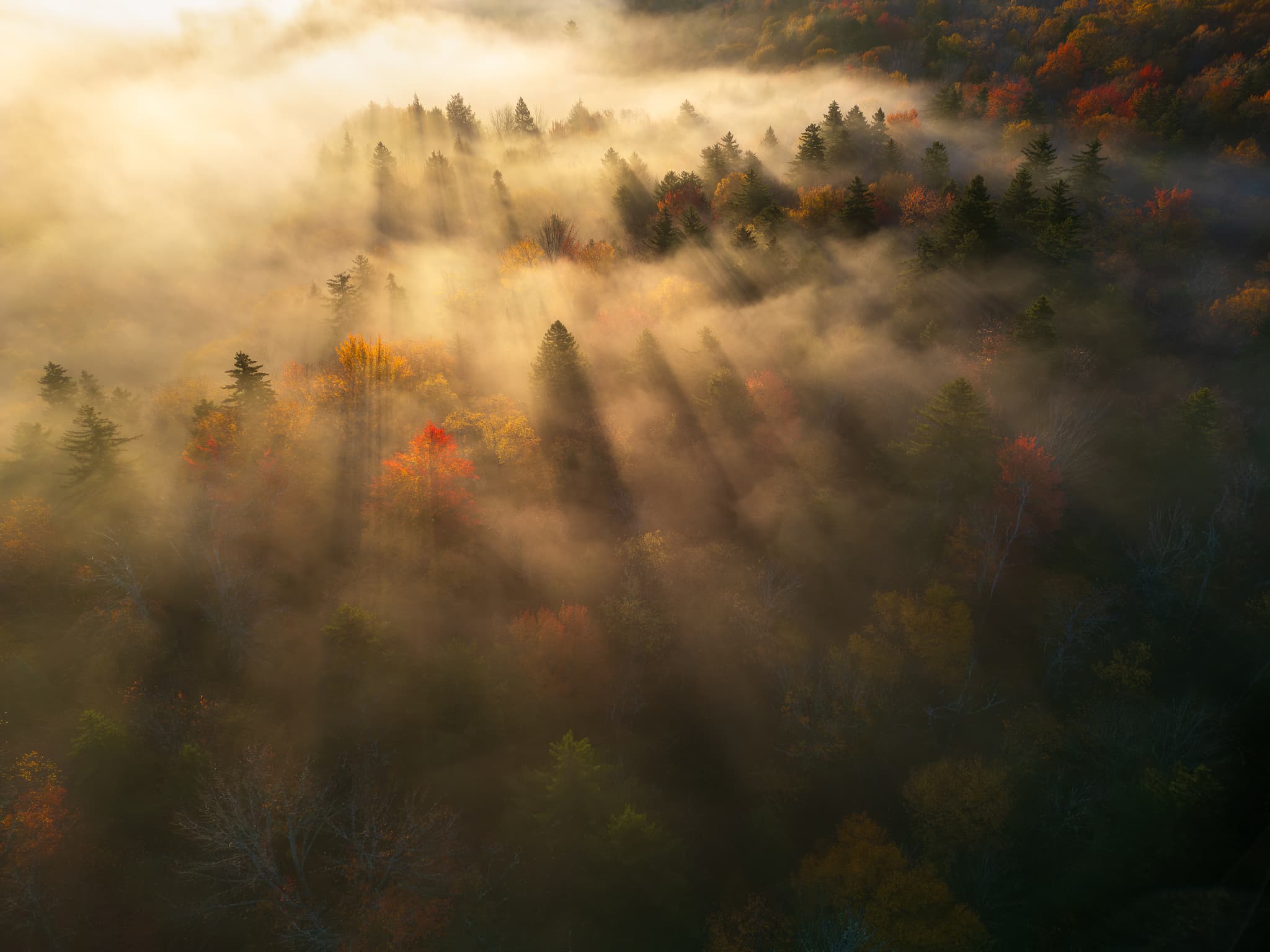 Shadows in Fog landscape photography print