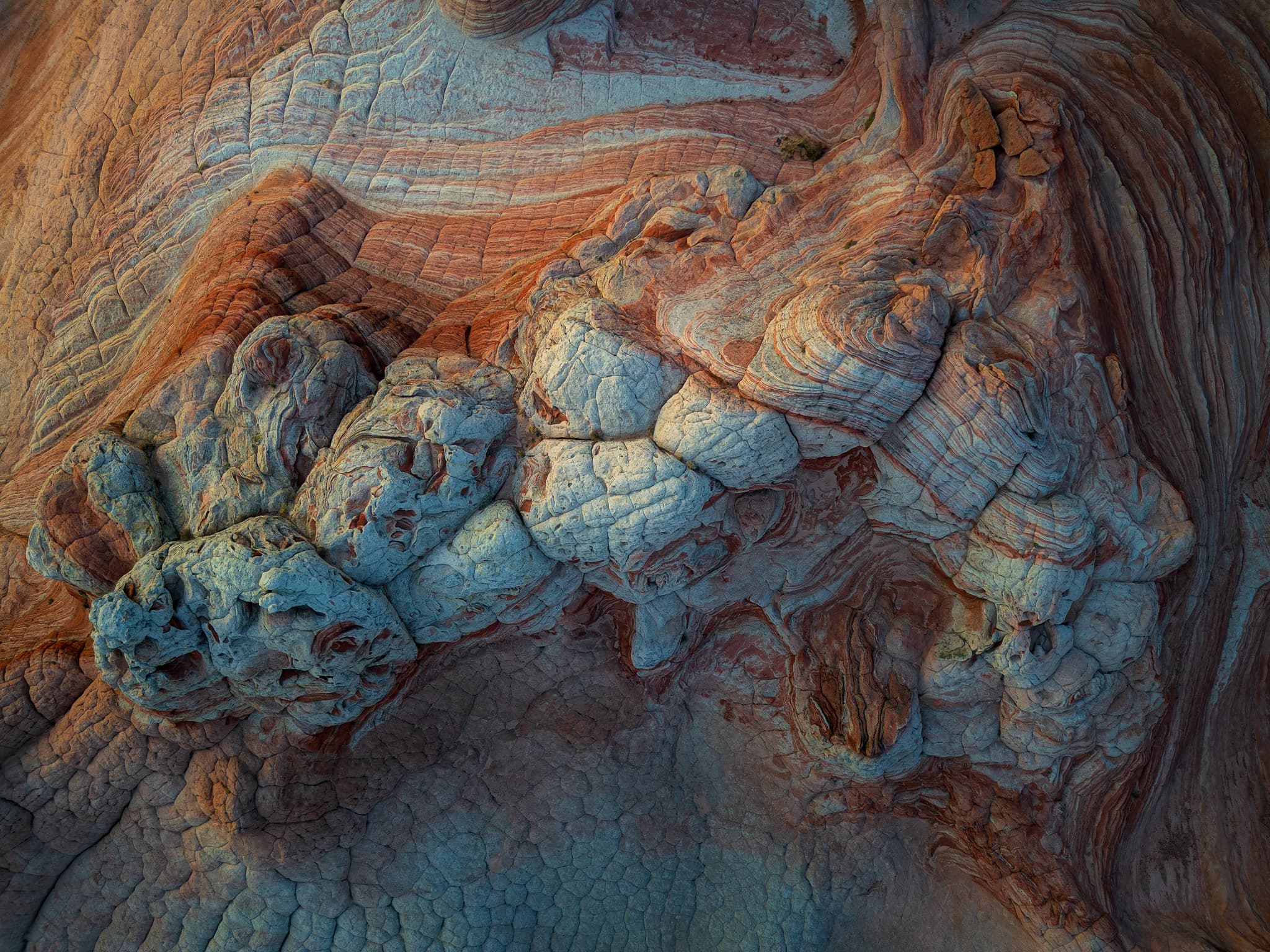 Texture Study landscape photography print