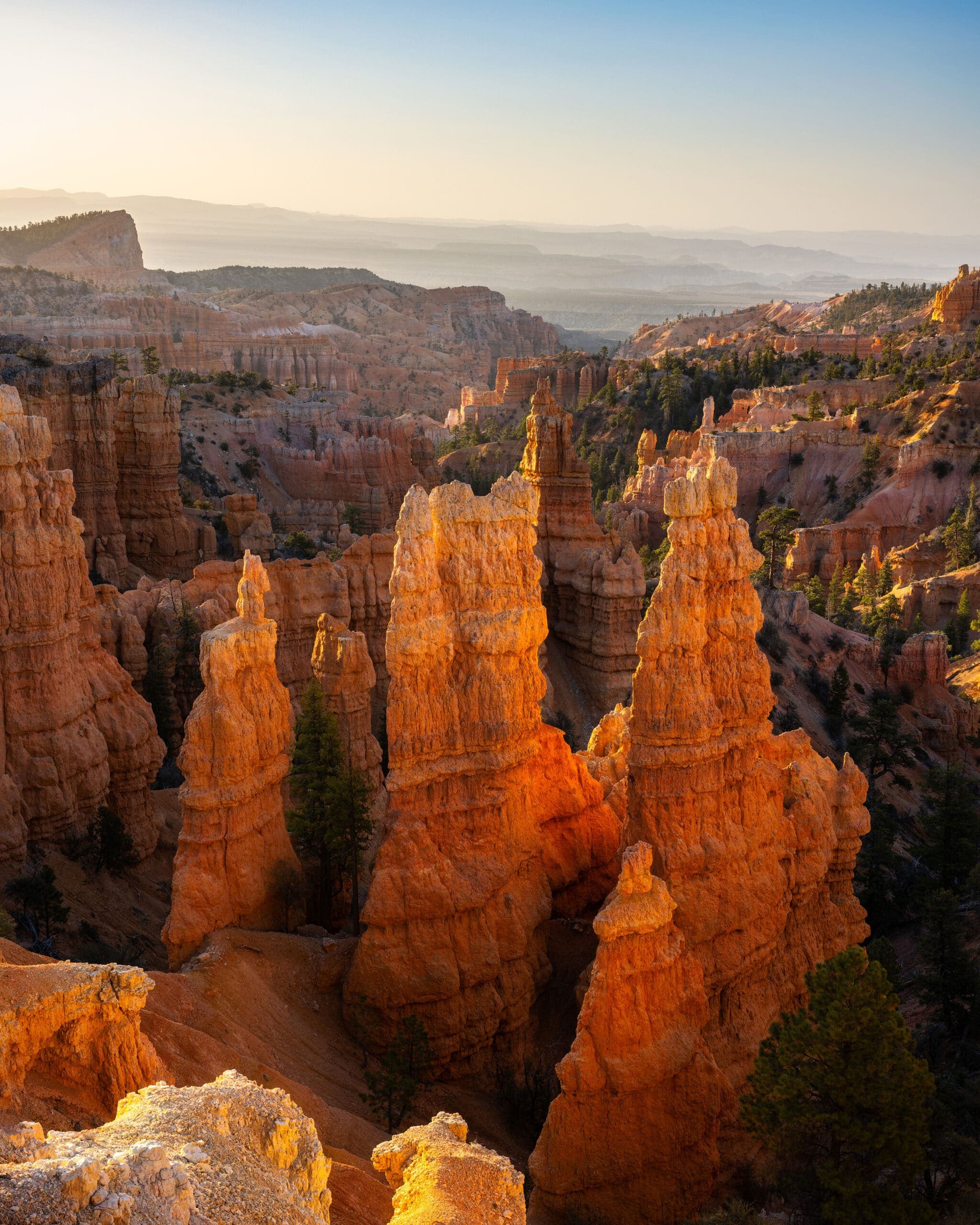 Hoodoos glowing at sunrise in Bryce Canyon