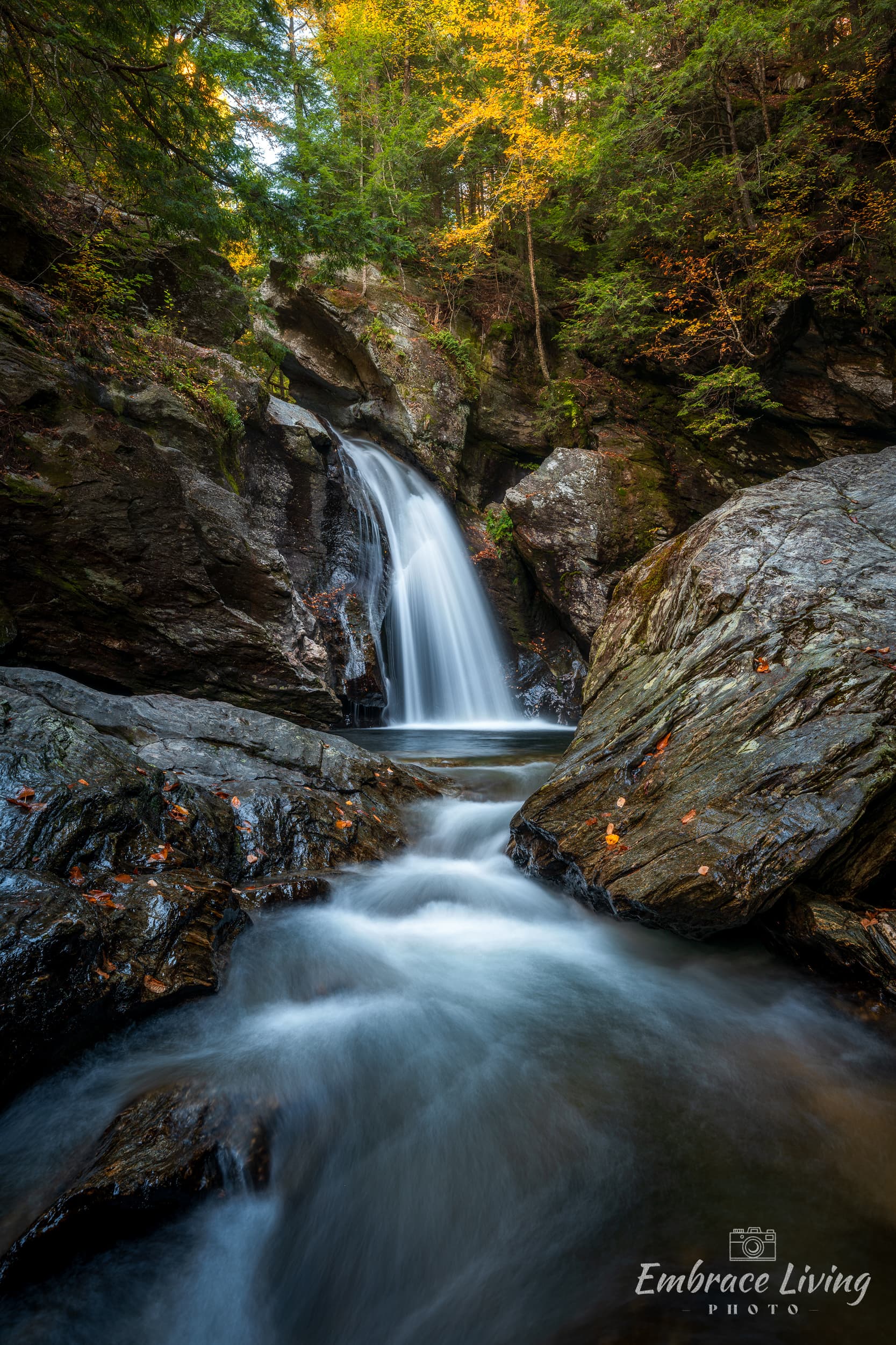 Water Scenes
